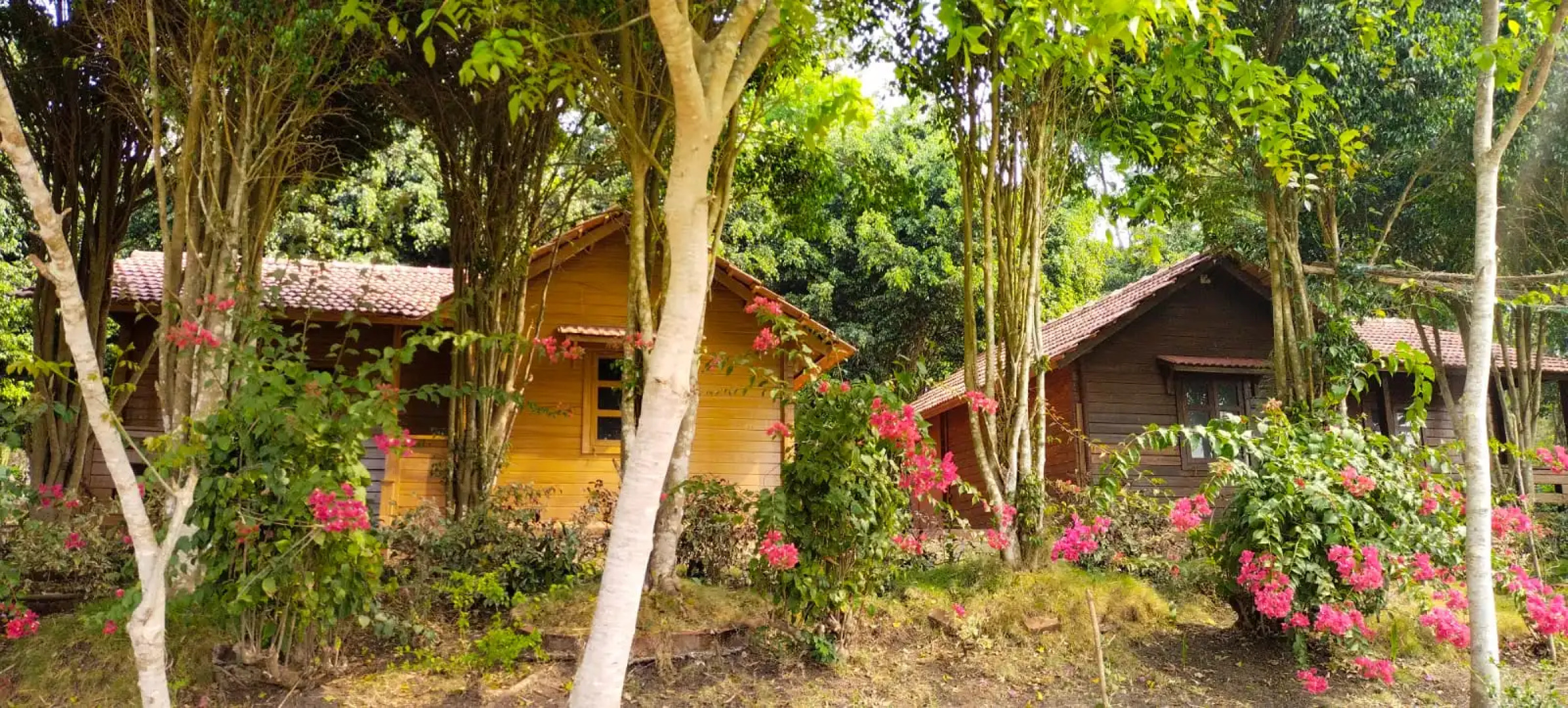 George's Cottages & Resorts