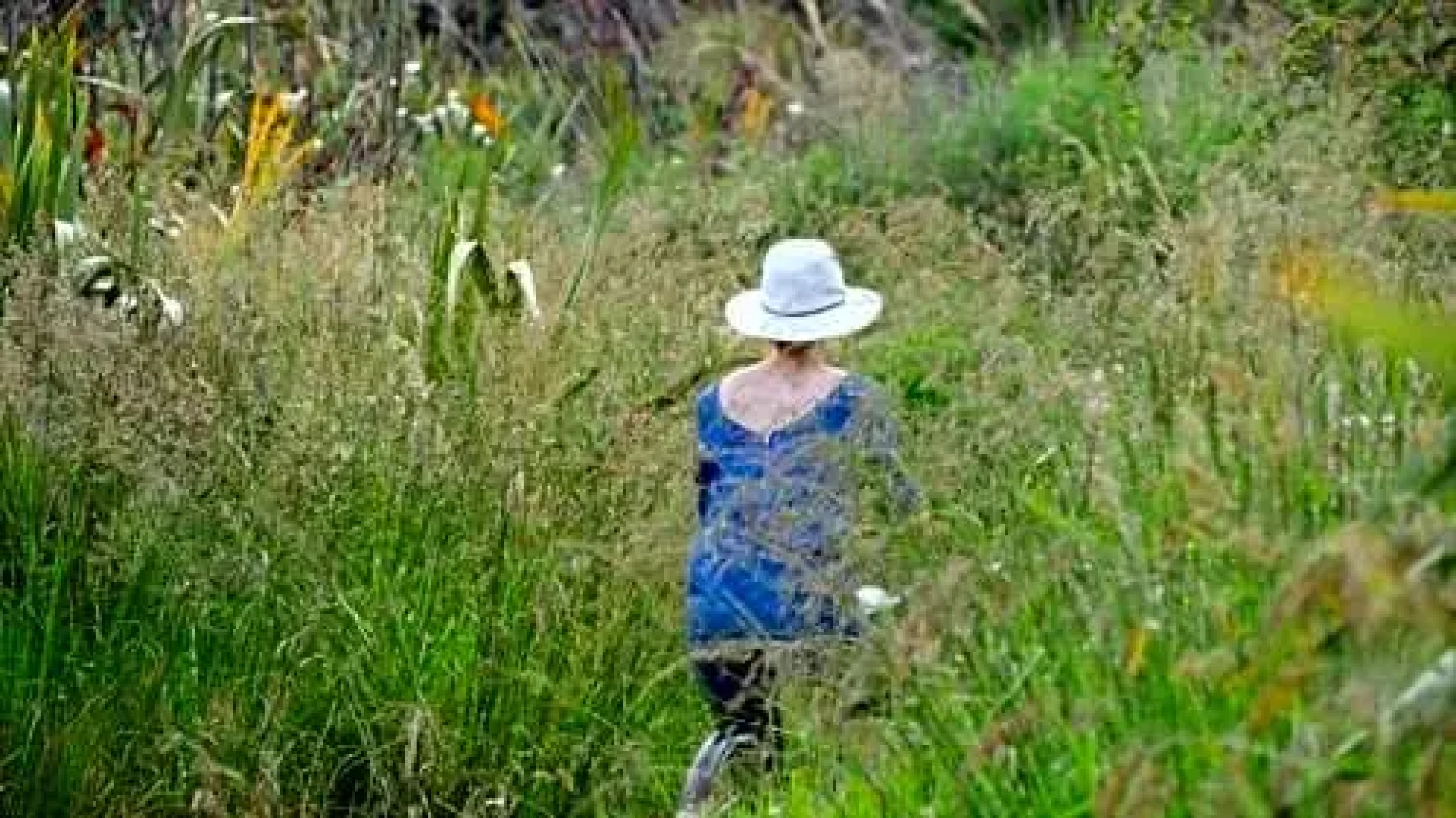 Top Floor Bed and Breakfast