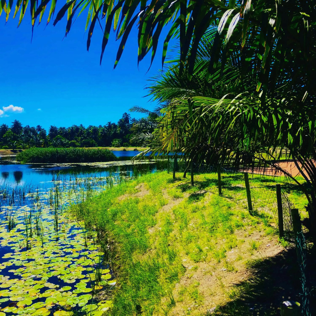 Reserva Do Paiva - A Melhor Casa Para Temporada