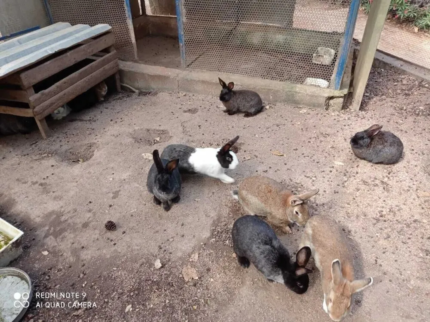 Hotel Fazenda Colinas de Itupeva