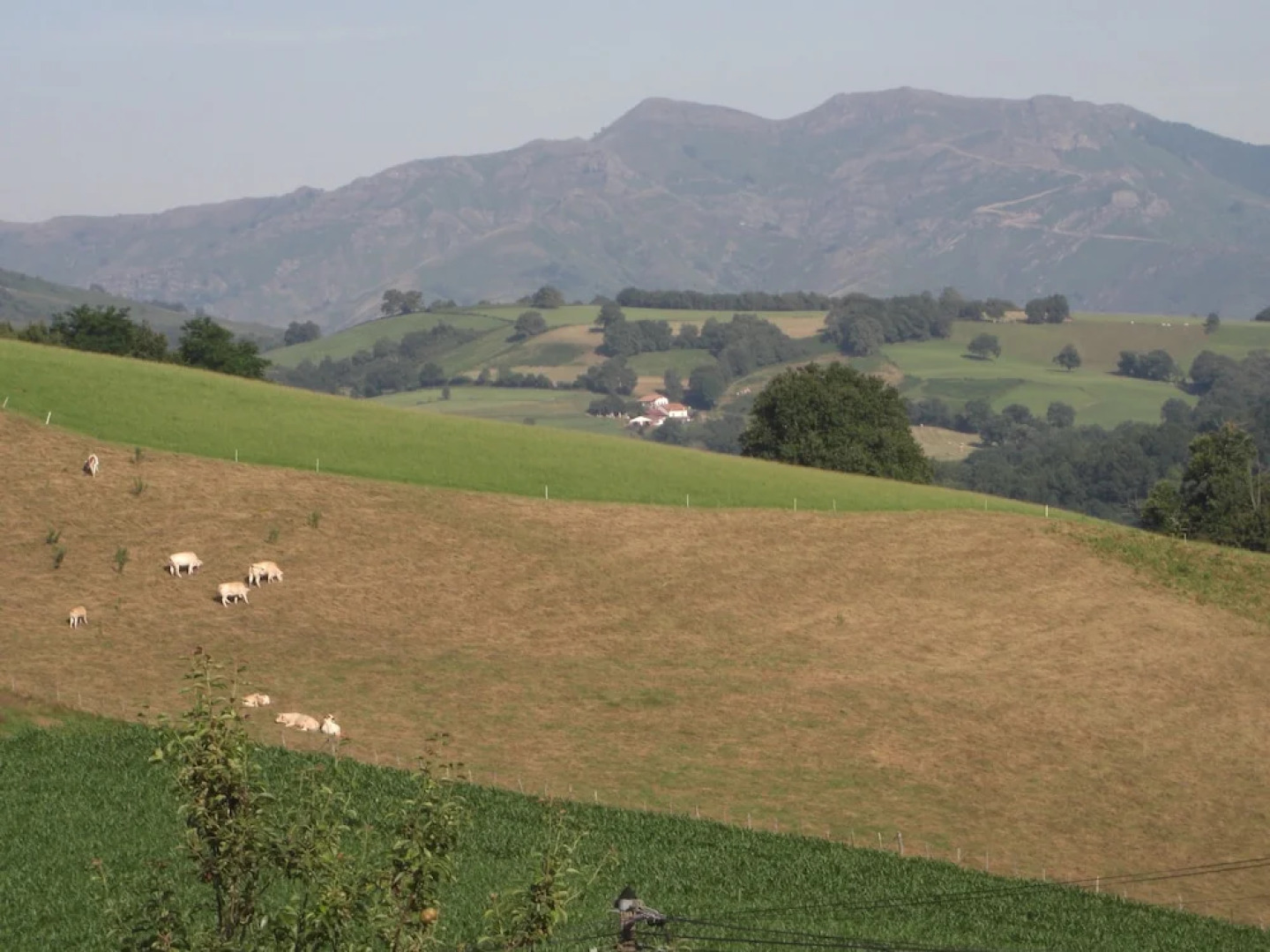 Guéraçague Etcheverry Garaya