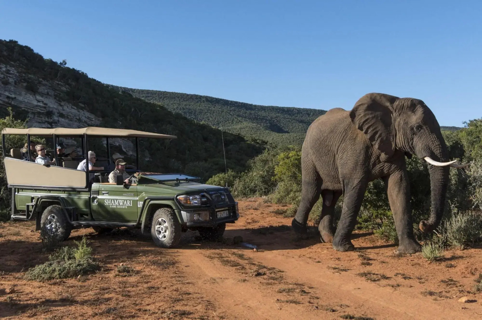 Shamwari Eagles Crag