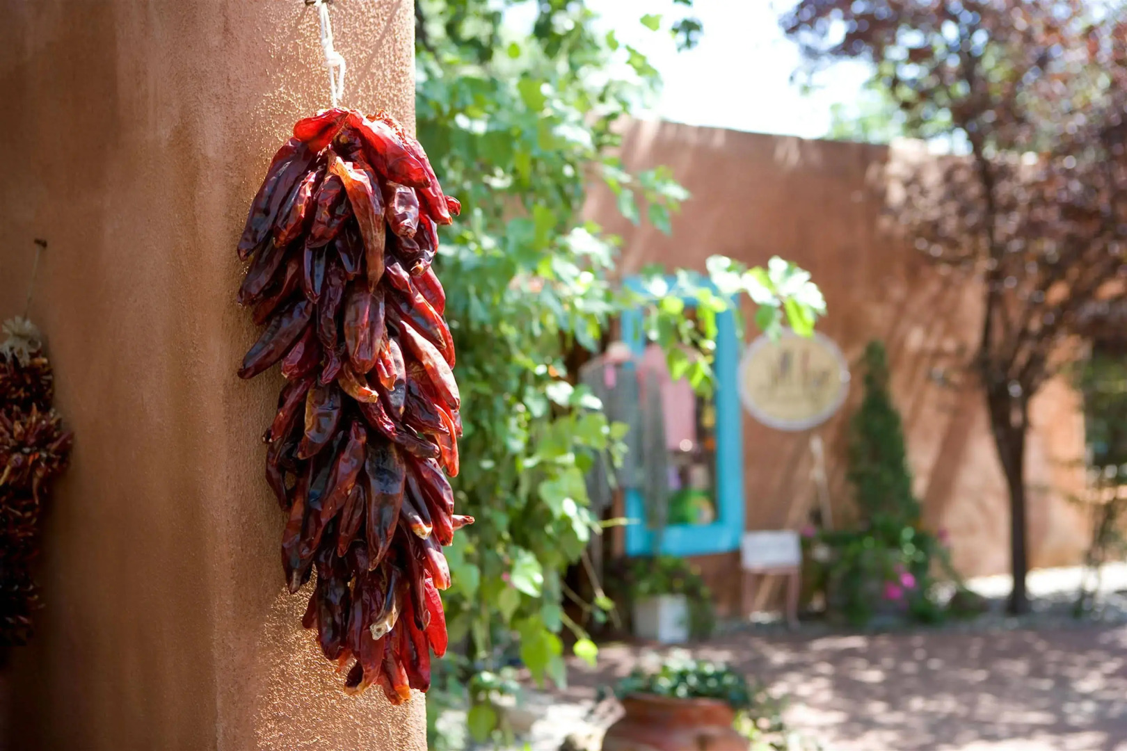 Sheraton Albuquerque Airport Hotel