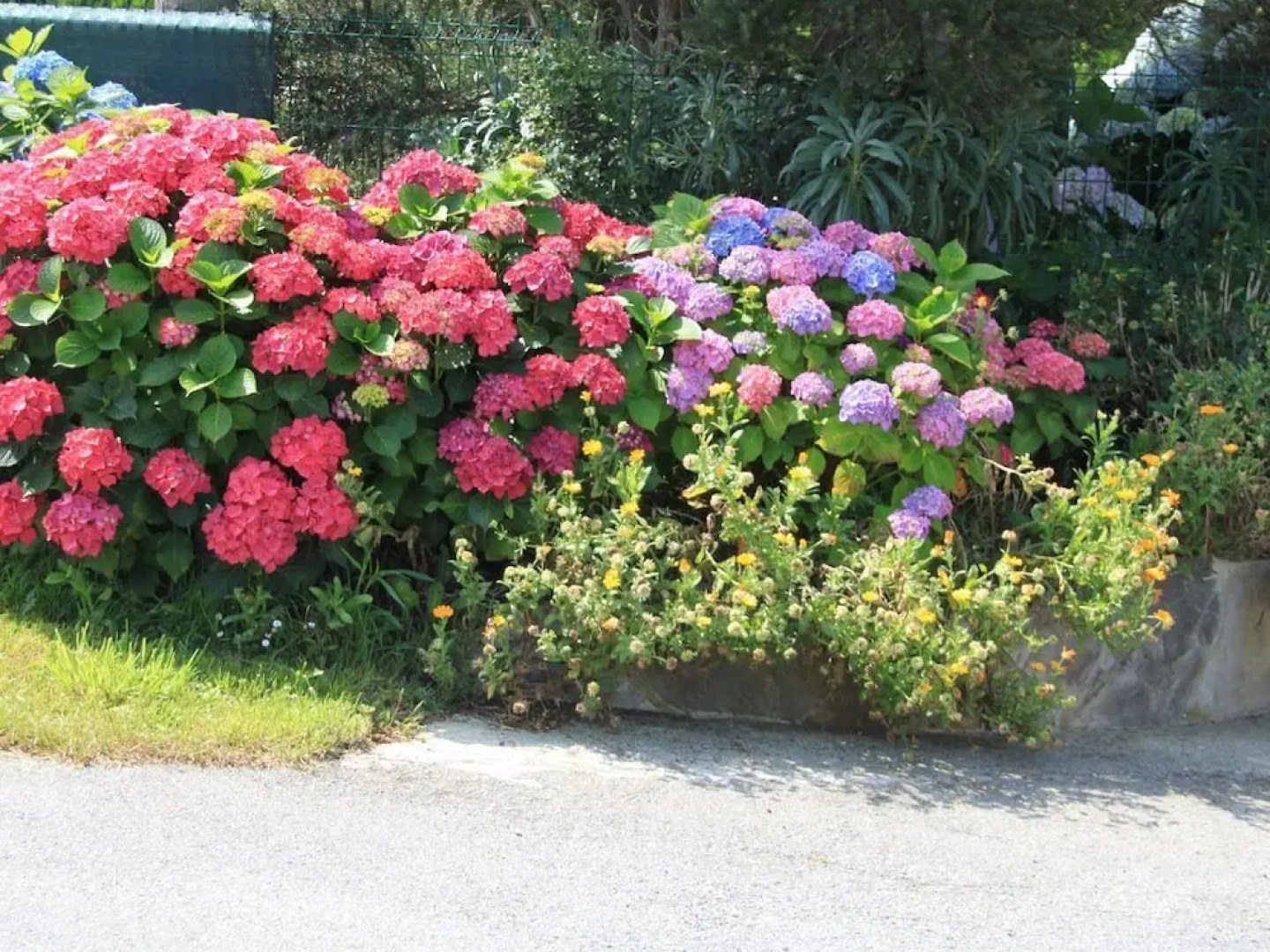 Apartamentos Jes?s for 4 People