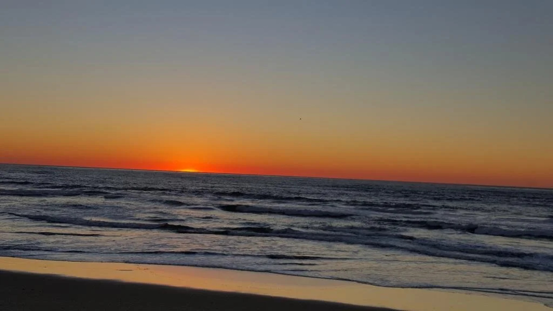 San Diego Silverstrand Beachfront