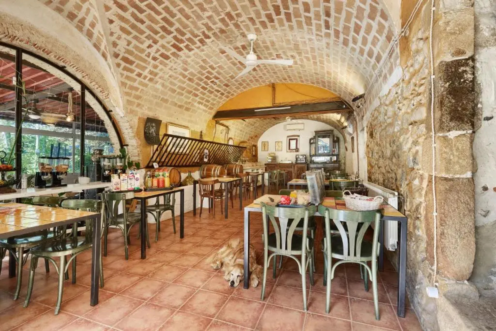 Mas Torrencito  Pet Friendly