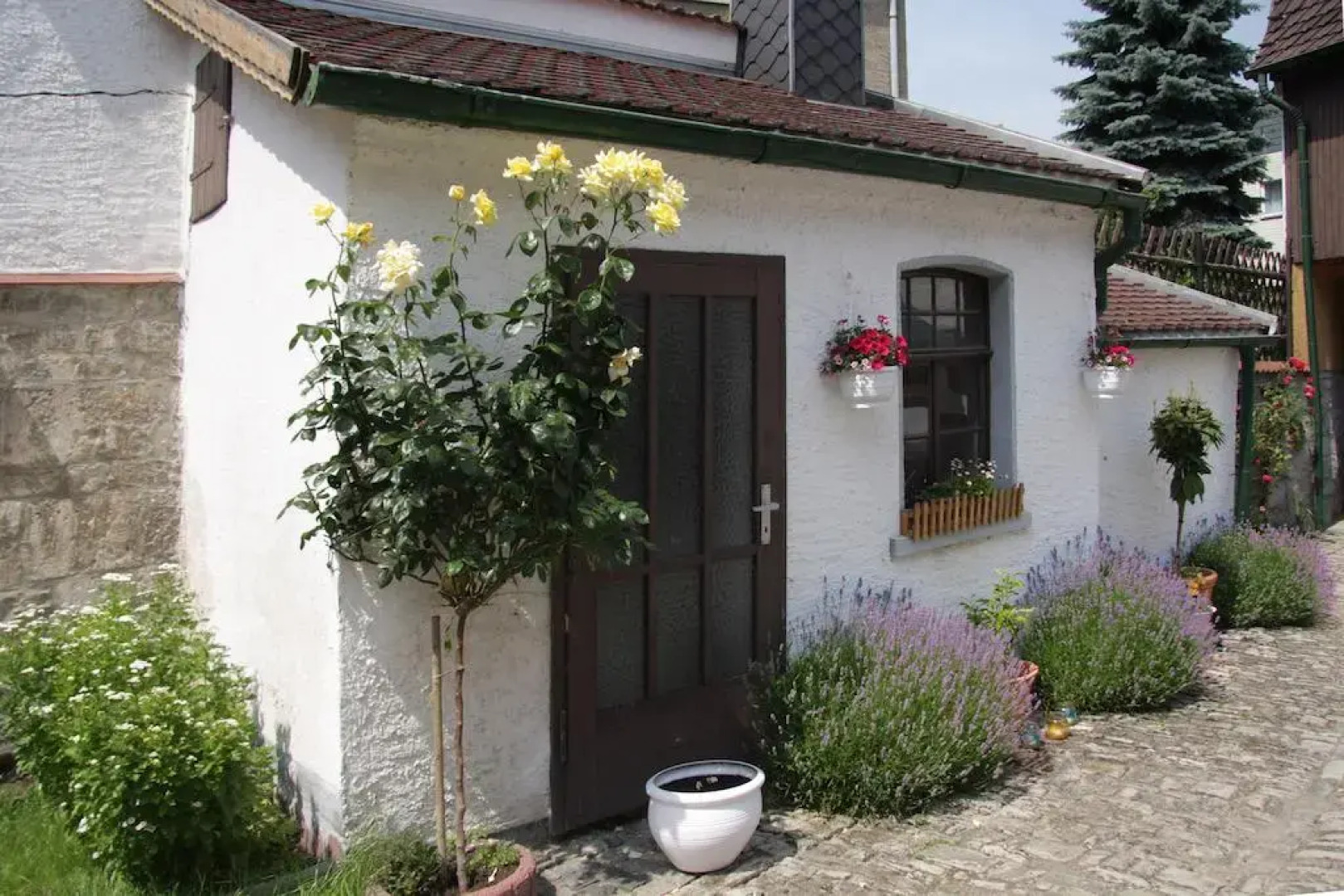 3 Seiten Ferienwohnung