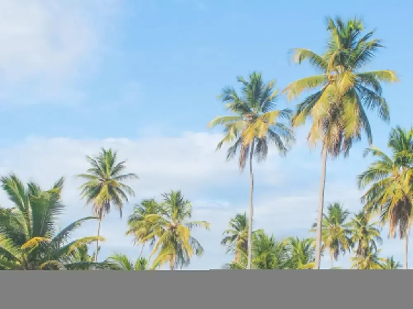 Bela Casa no Condom nio OKA