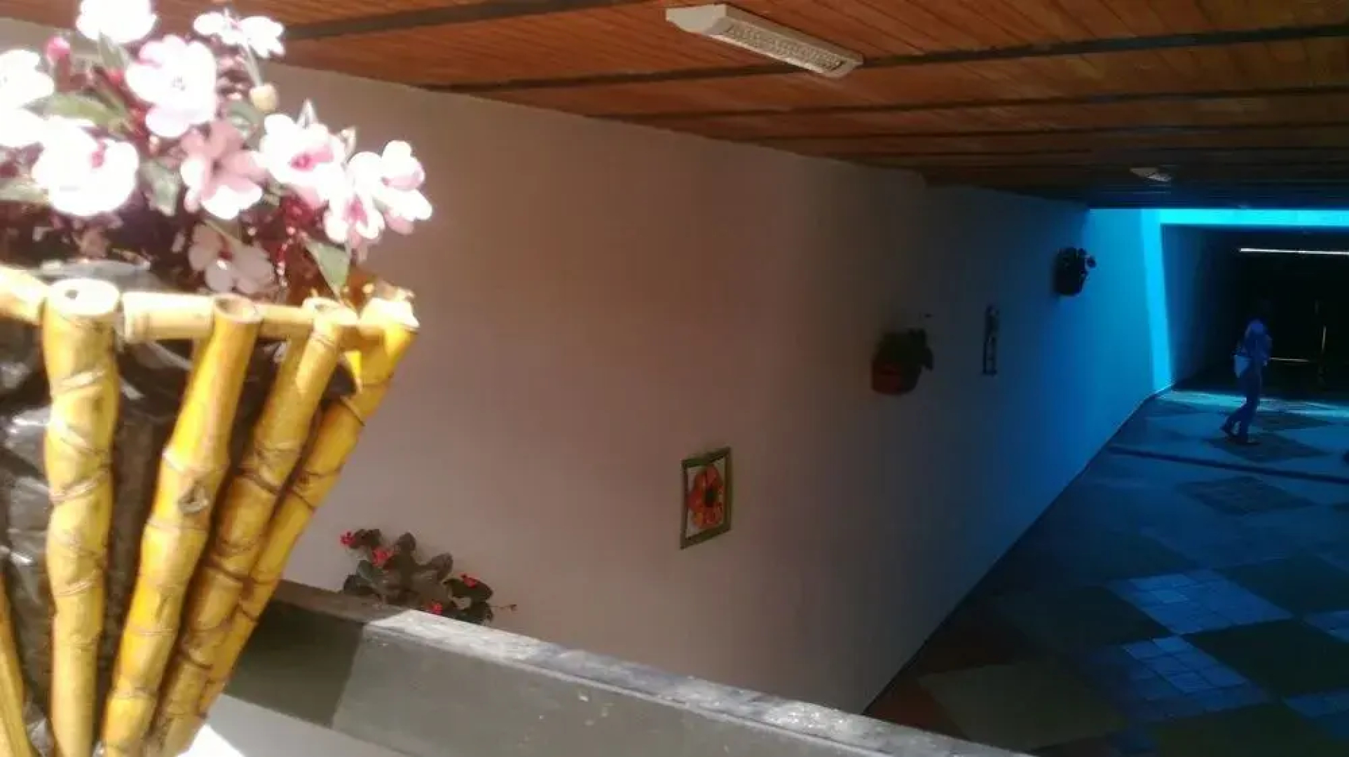Hotel Villa Amira
