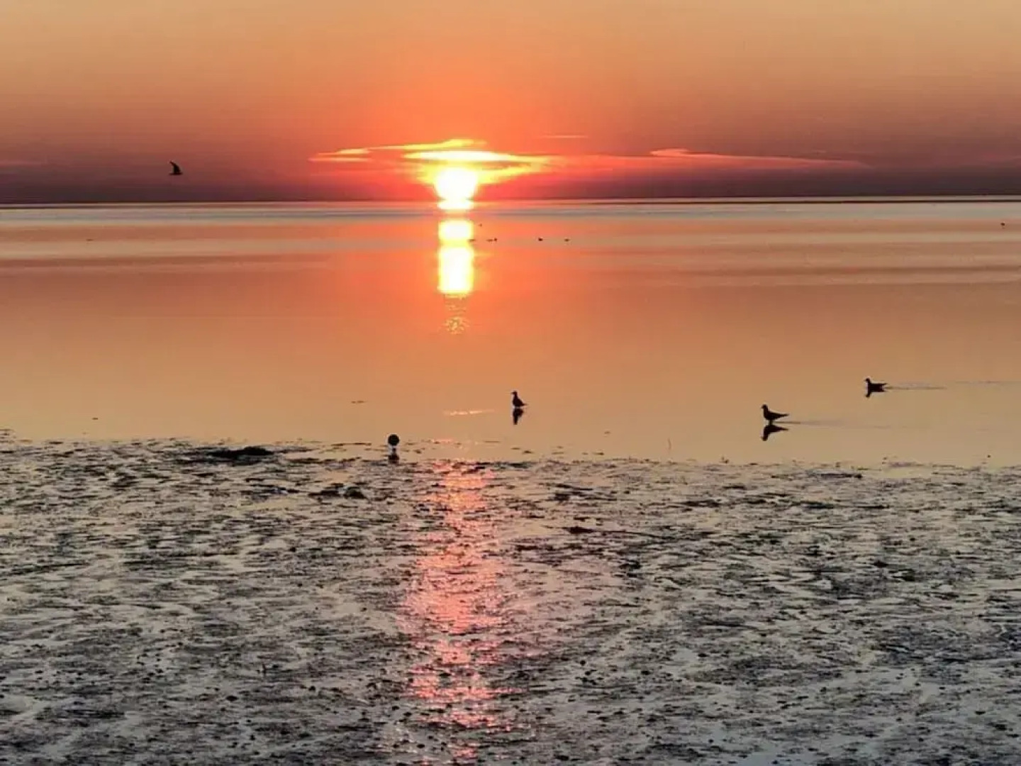 Nitschke - Vakantieappartement Wurm