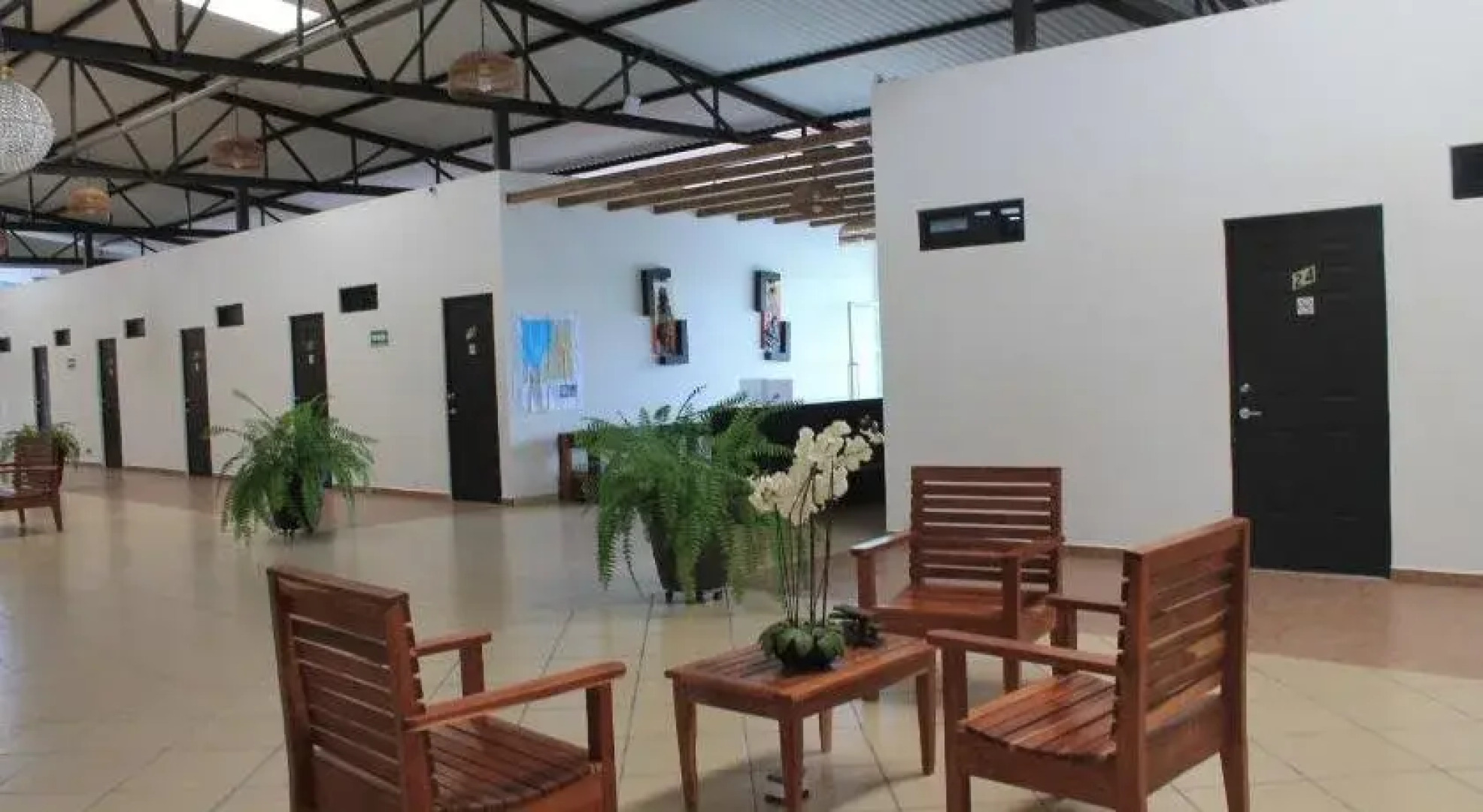 Real Primaveras Campestre