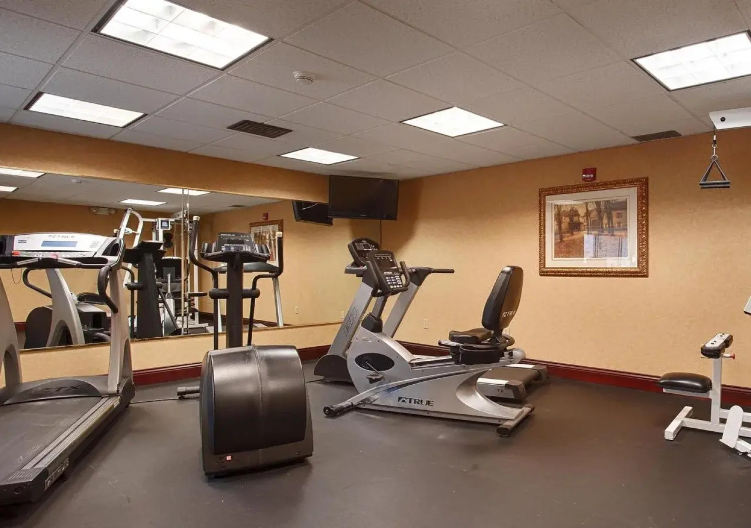 Spark by Hilton Lockport