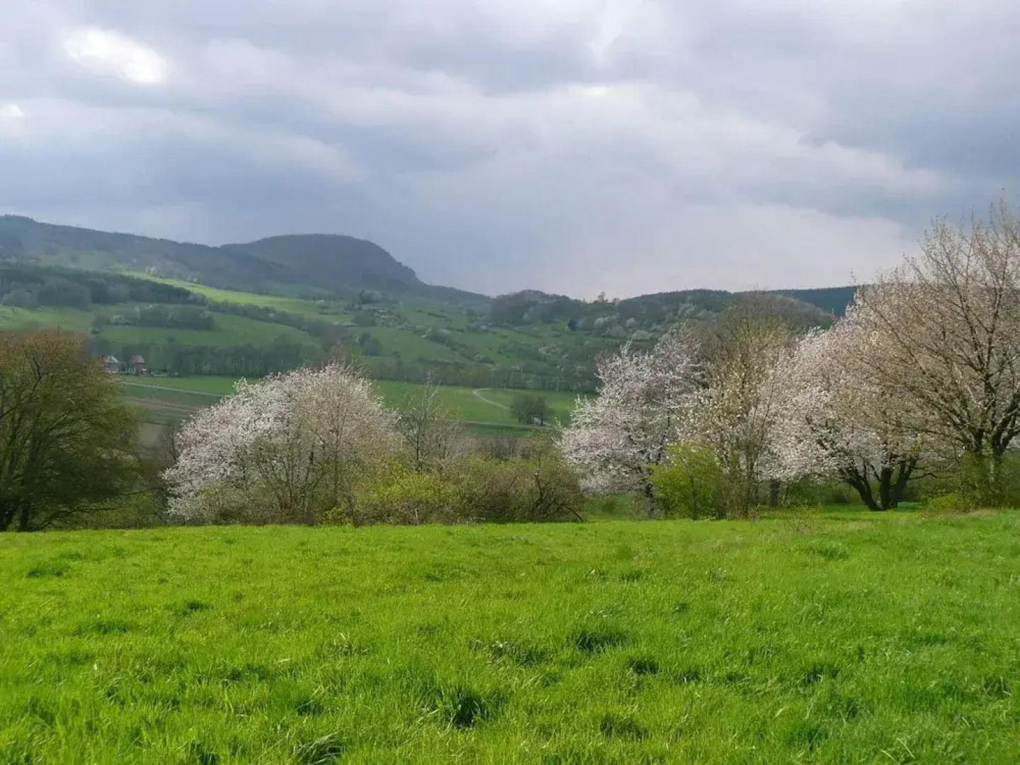 Attraktives Ferienhaus mit Kamin in Waltershausen