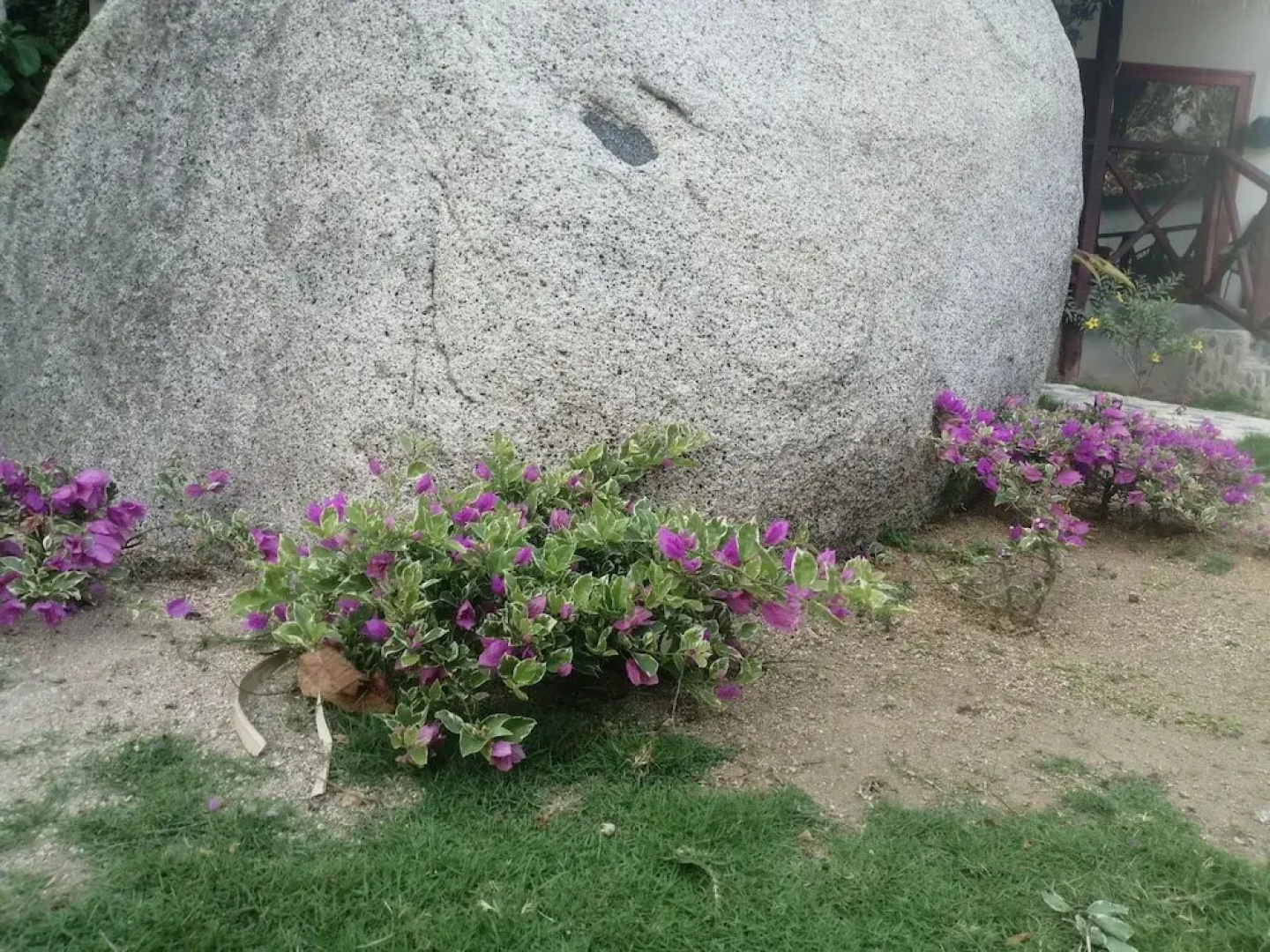 Hotel talu  tayrona