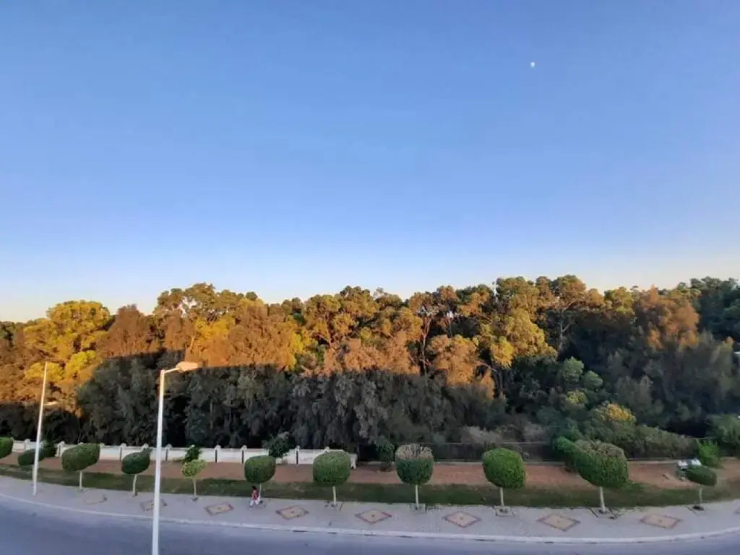 Jasmine Studio coquette