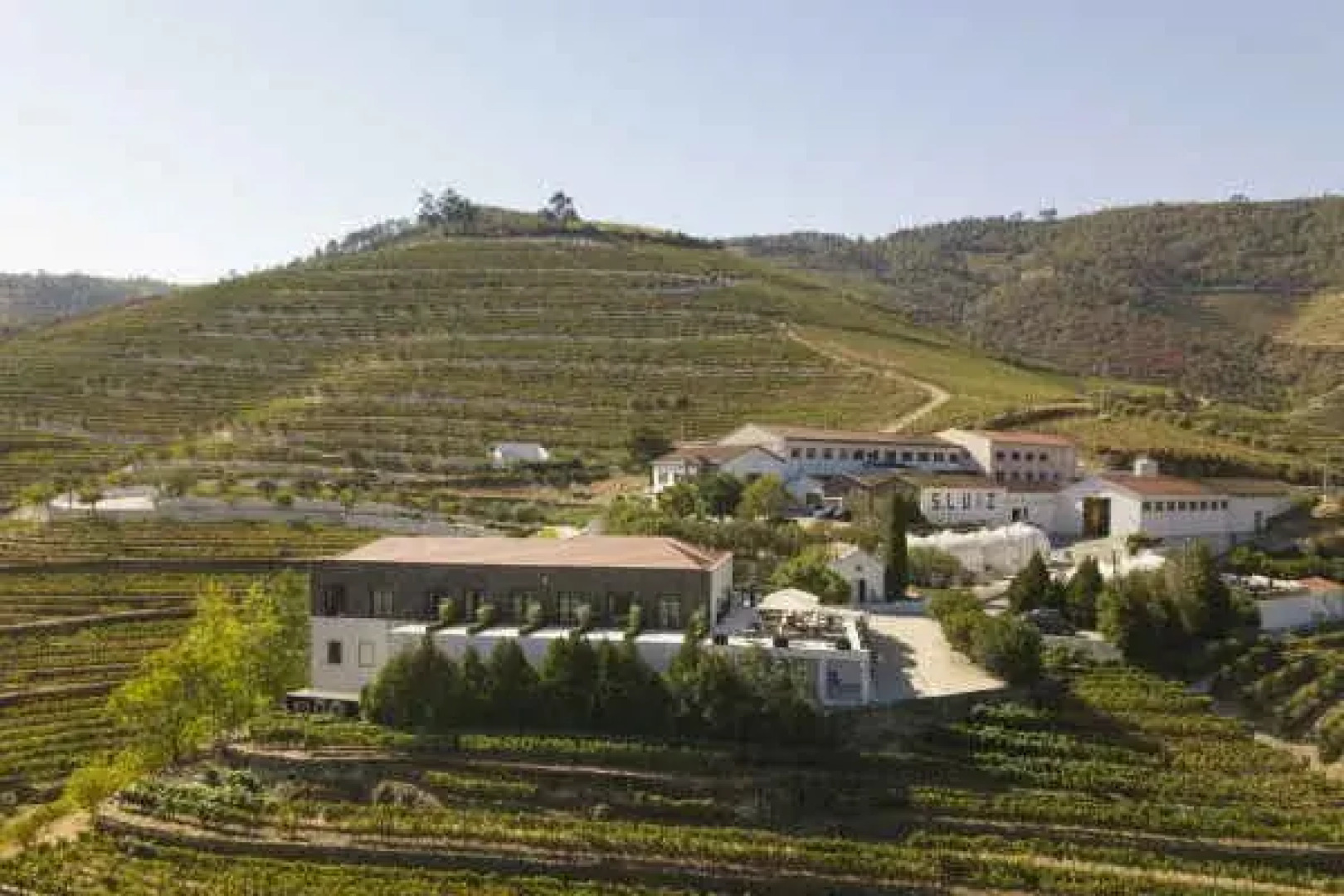 Quinta de São Luiz - The Vine House