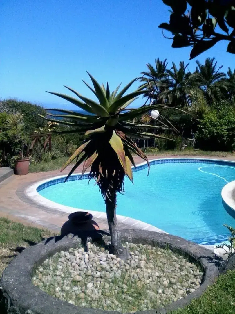Wailana Beach Lodge