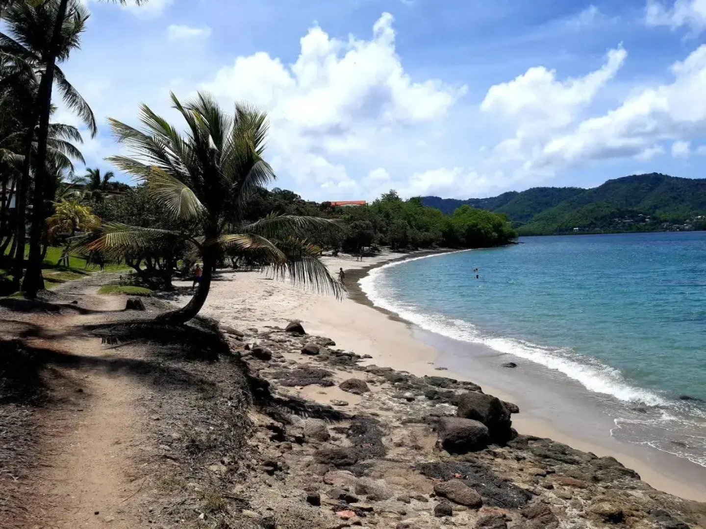 Sainte-Luce 2 T1 Hibiscus Et Colibris (Adults Only)