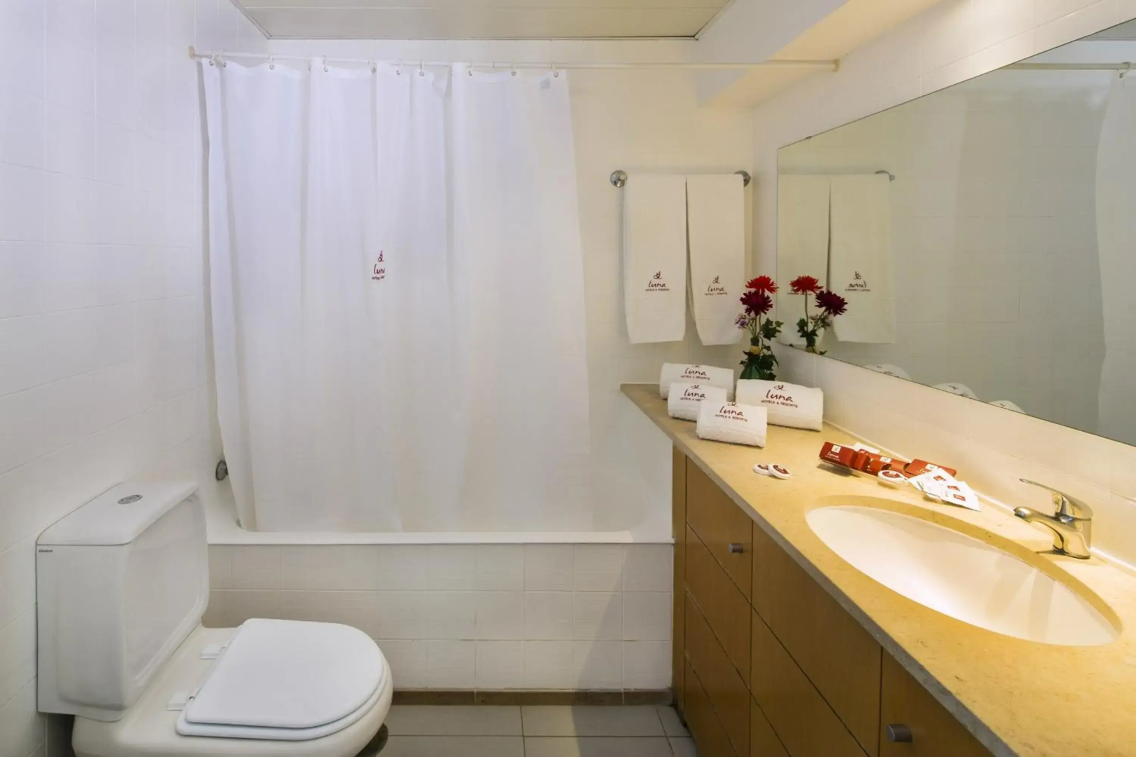 The Navigator – Olympus