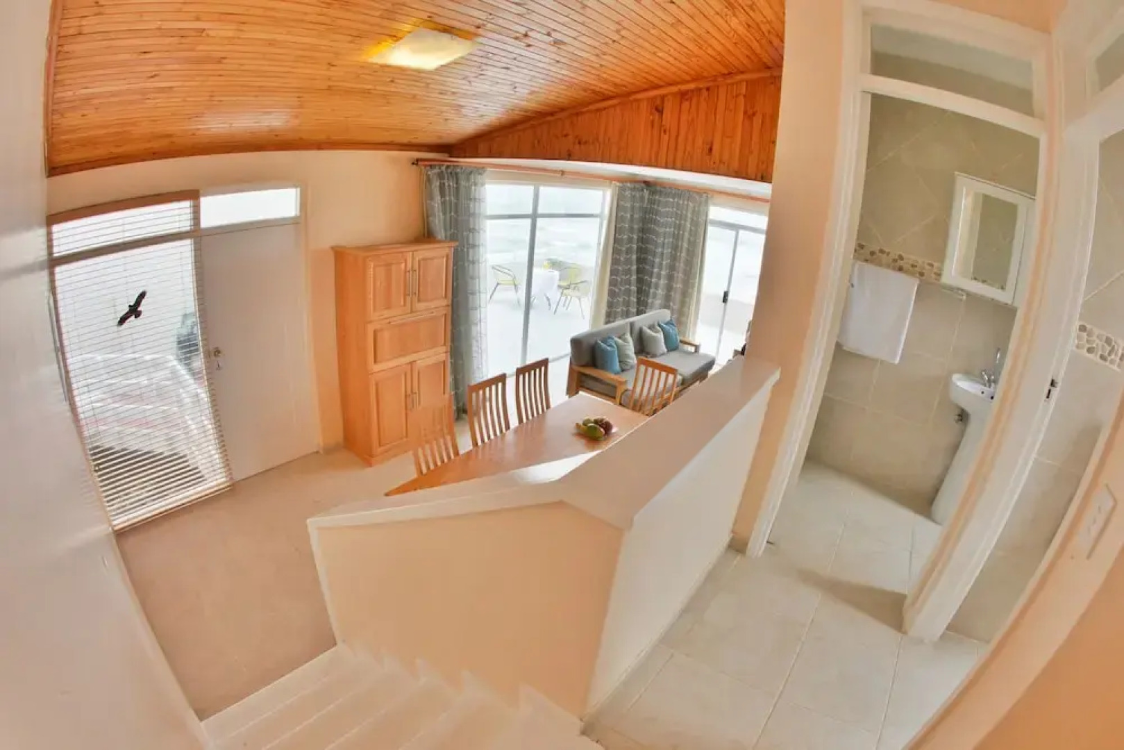 First Group Desert Rose