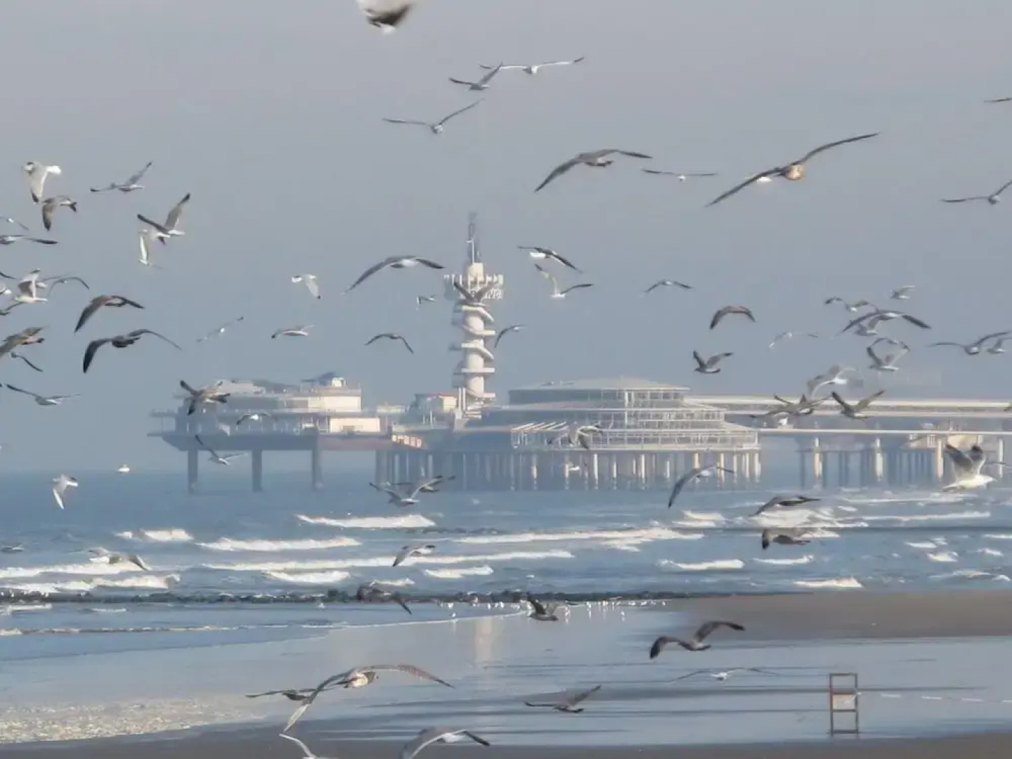 Cozy Holiday Home in Scheveningen near Beach