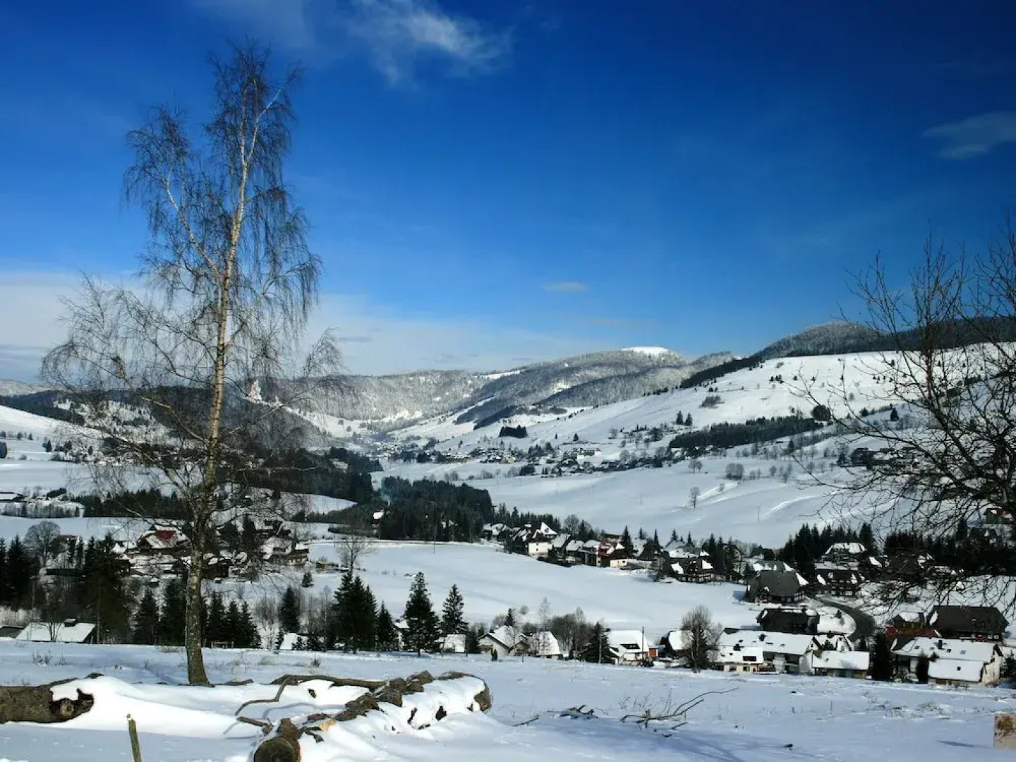 Beautiful Apartment in Bernau im Schwarzwald with Terrace