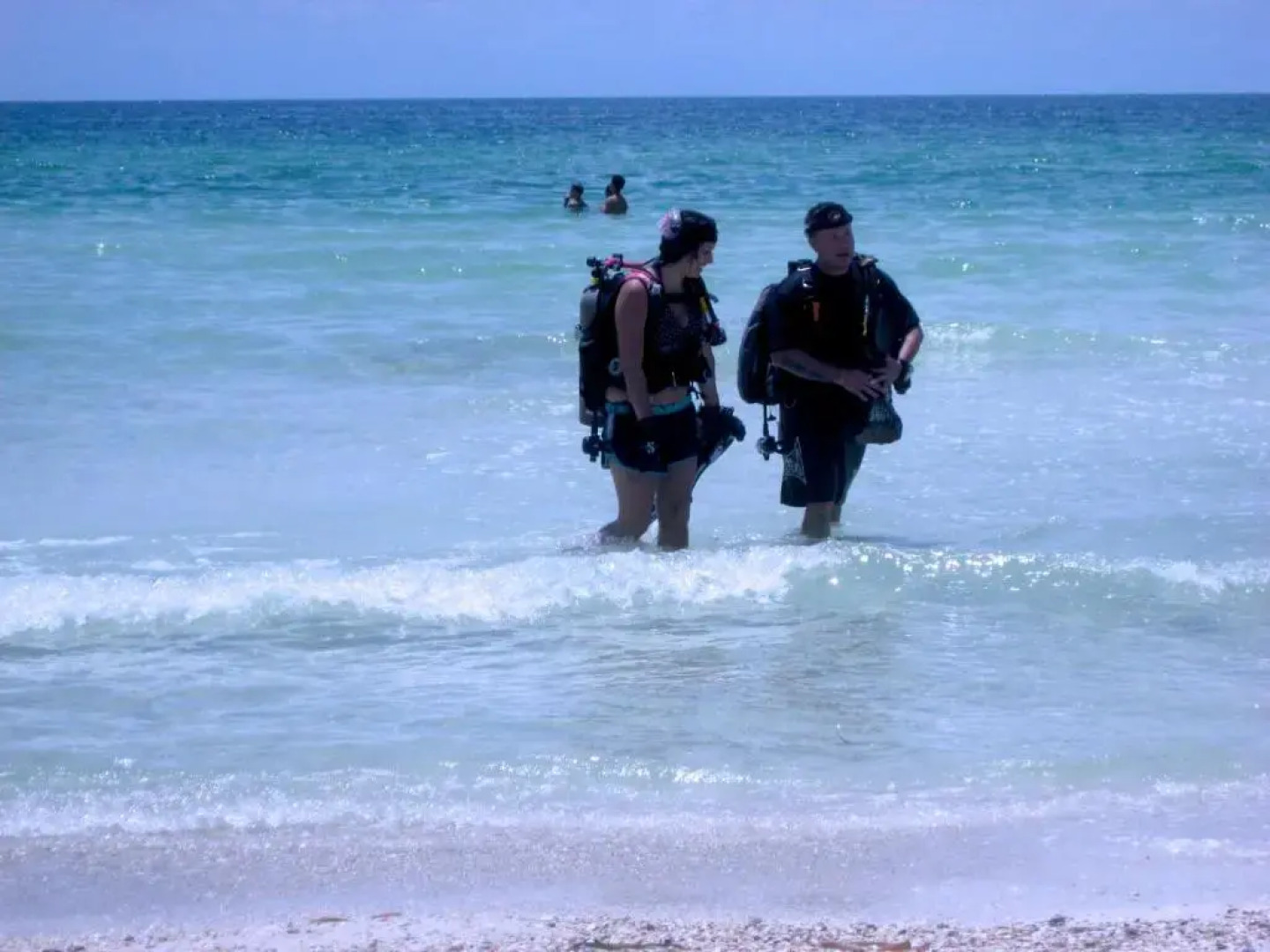 Anna Maria Island Beach Palms 8B