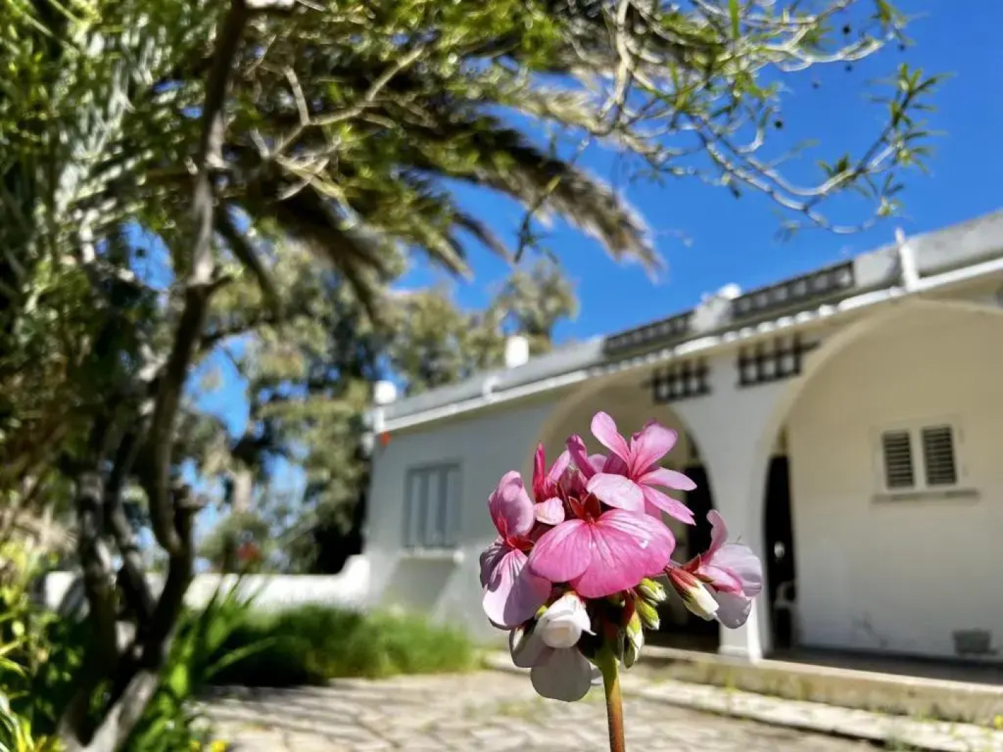 Sea View Spacious Private Villa in Lapta