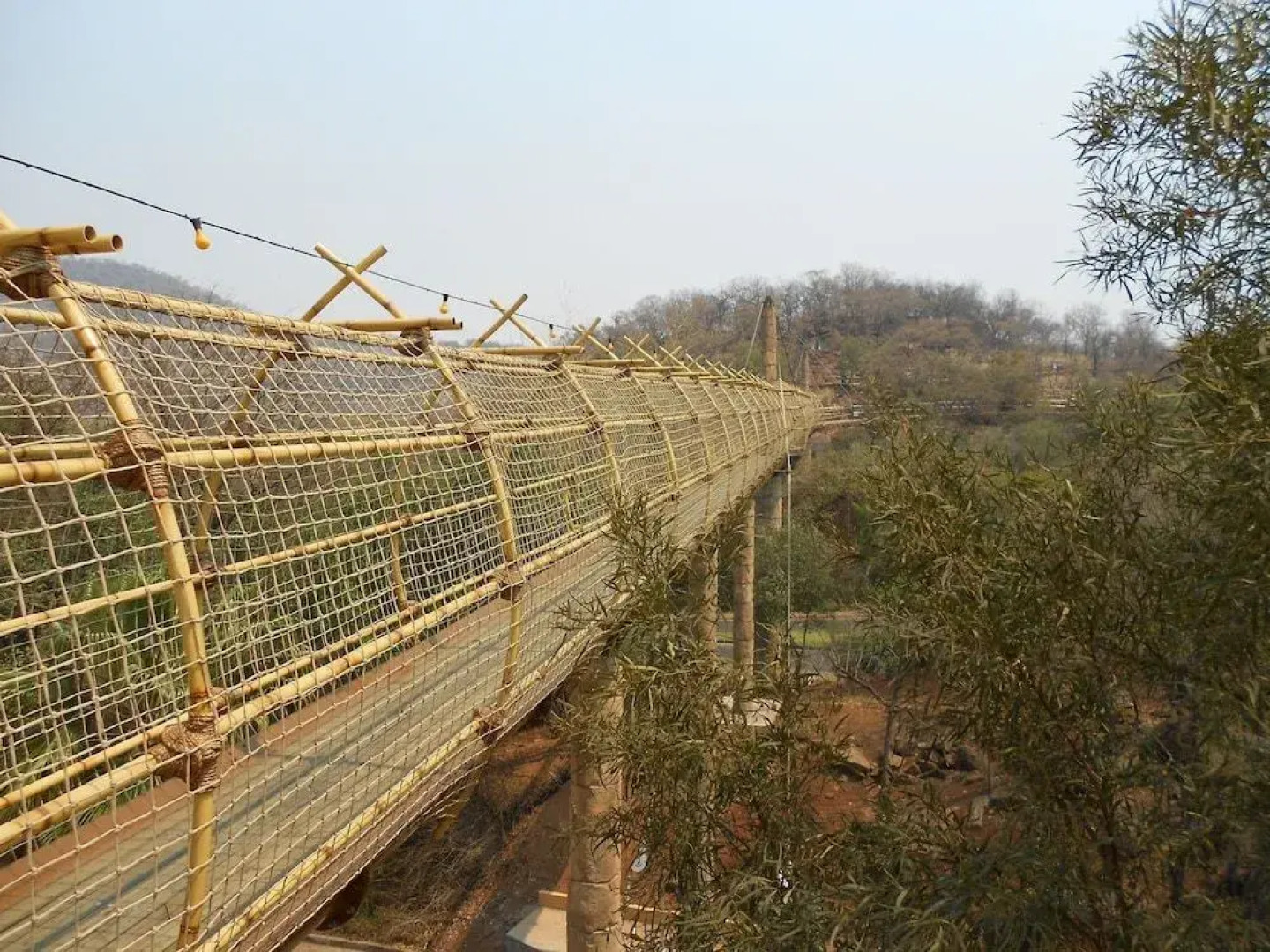 Bush Bungalows at Sun City Resort