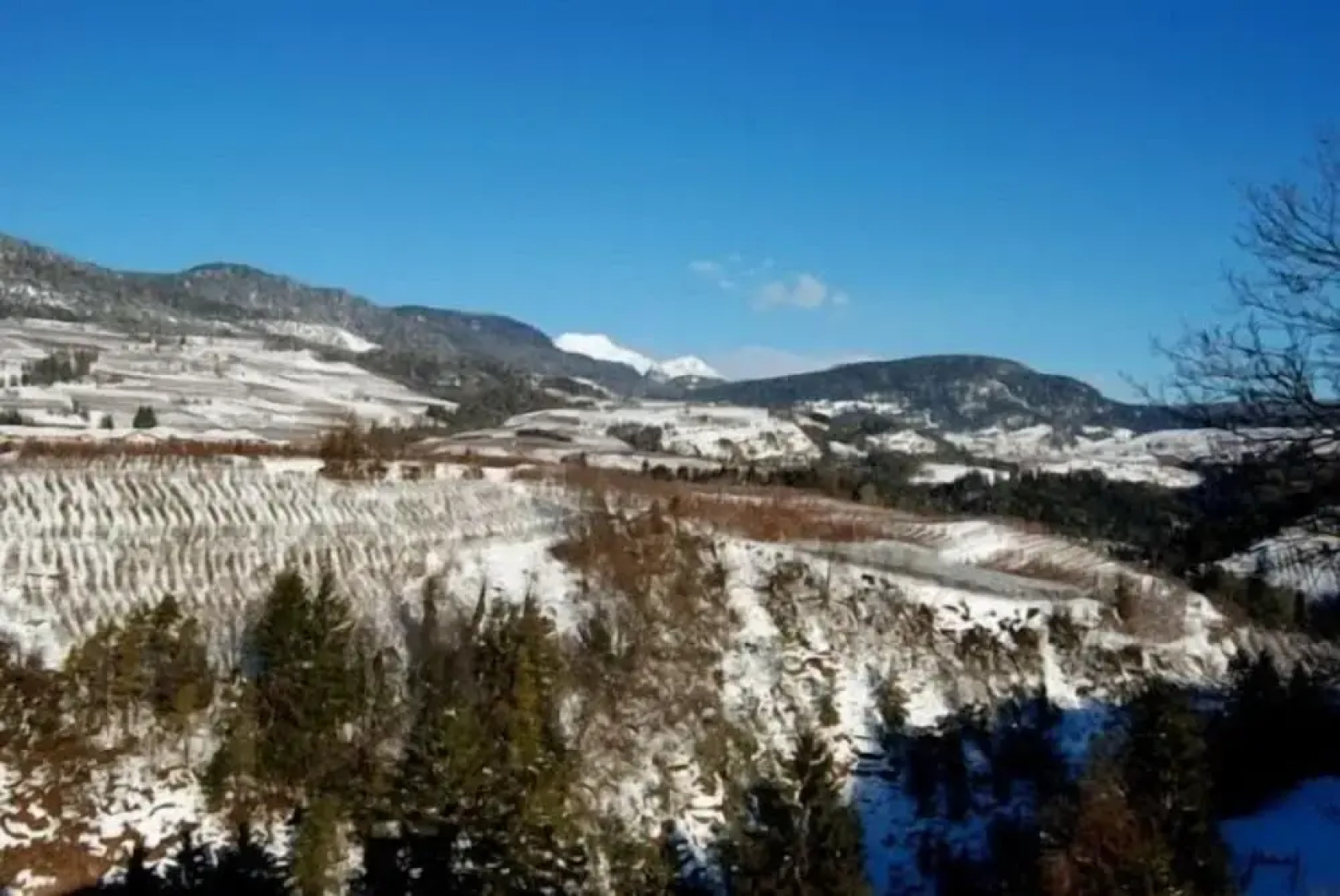 Azienda Agricola Castel Vasio