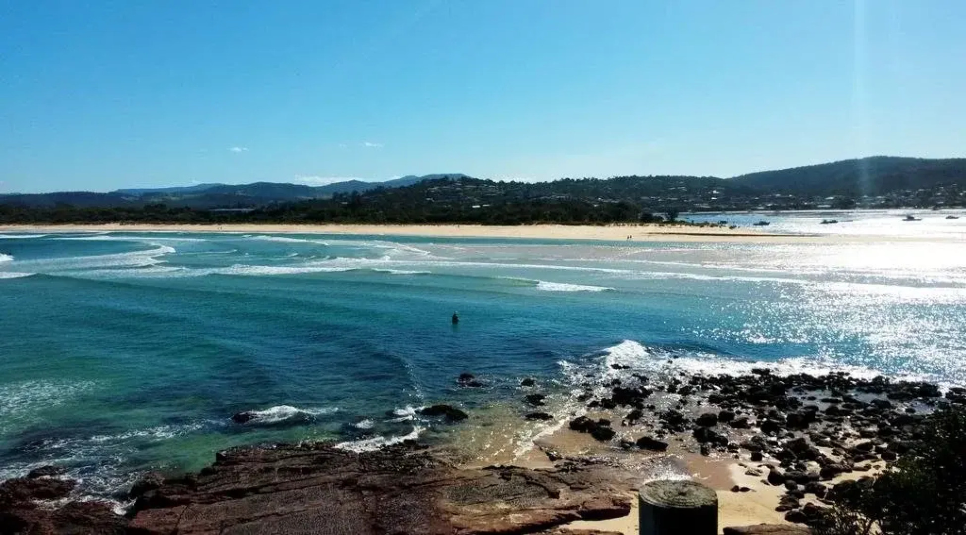 Beachcomber Pet Friendly