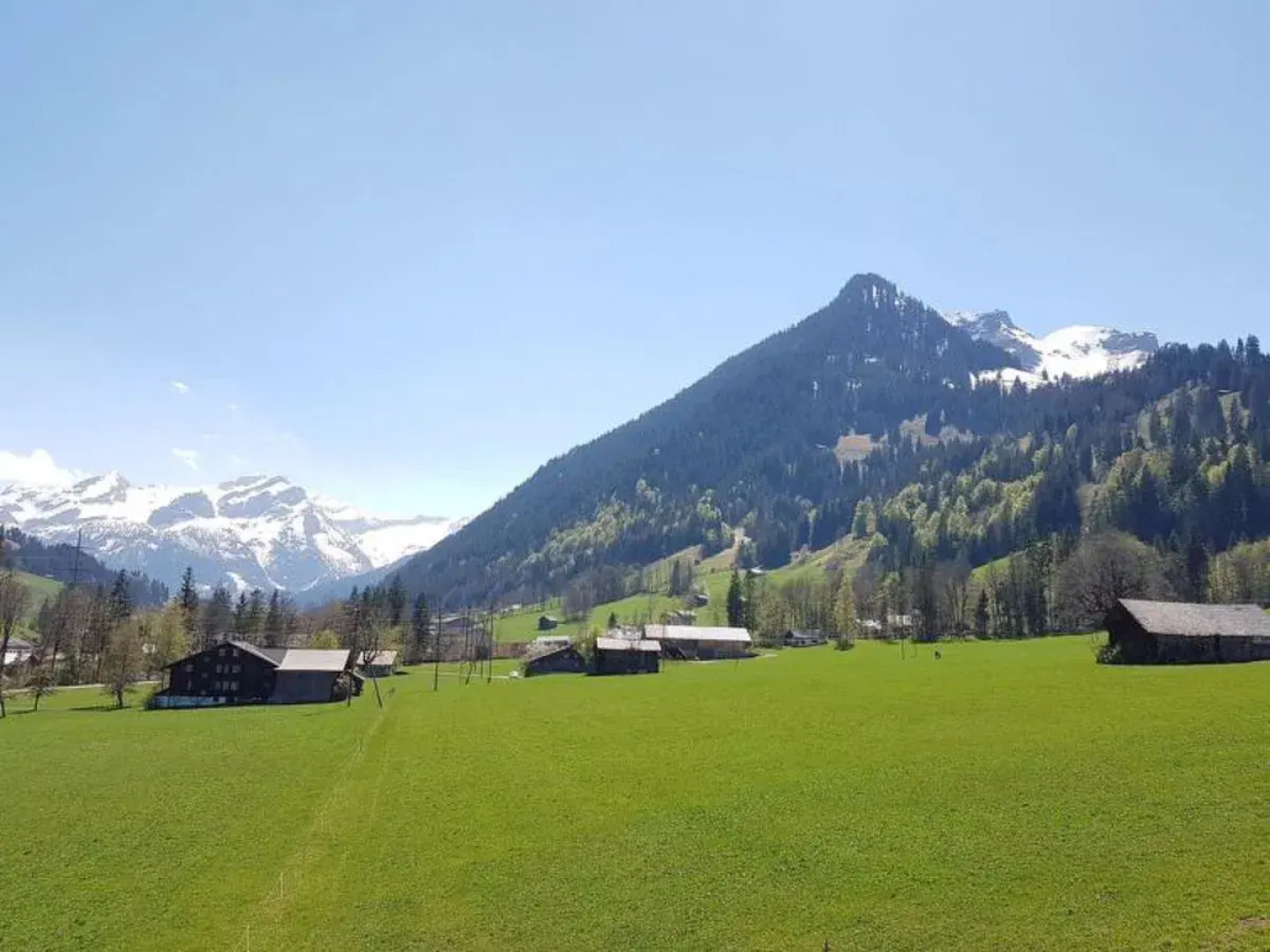 Apartment Farfalla Gstaad