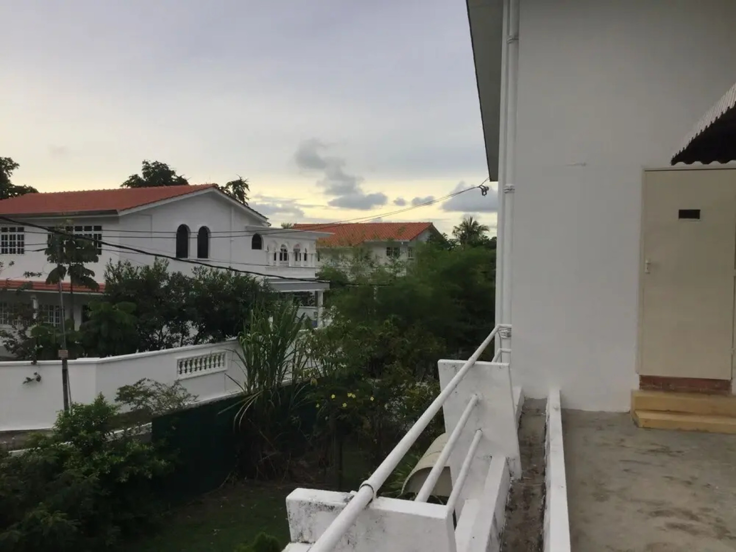 Sea Lion by the Beach