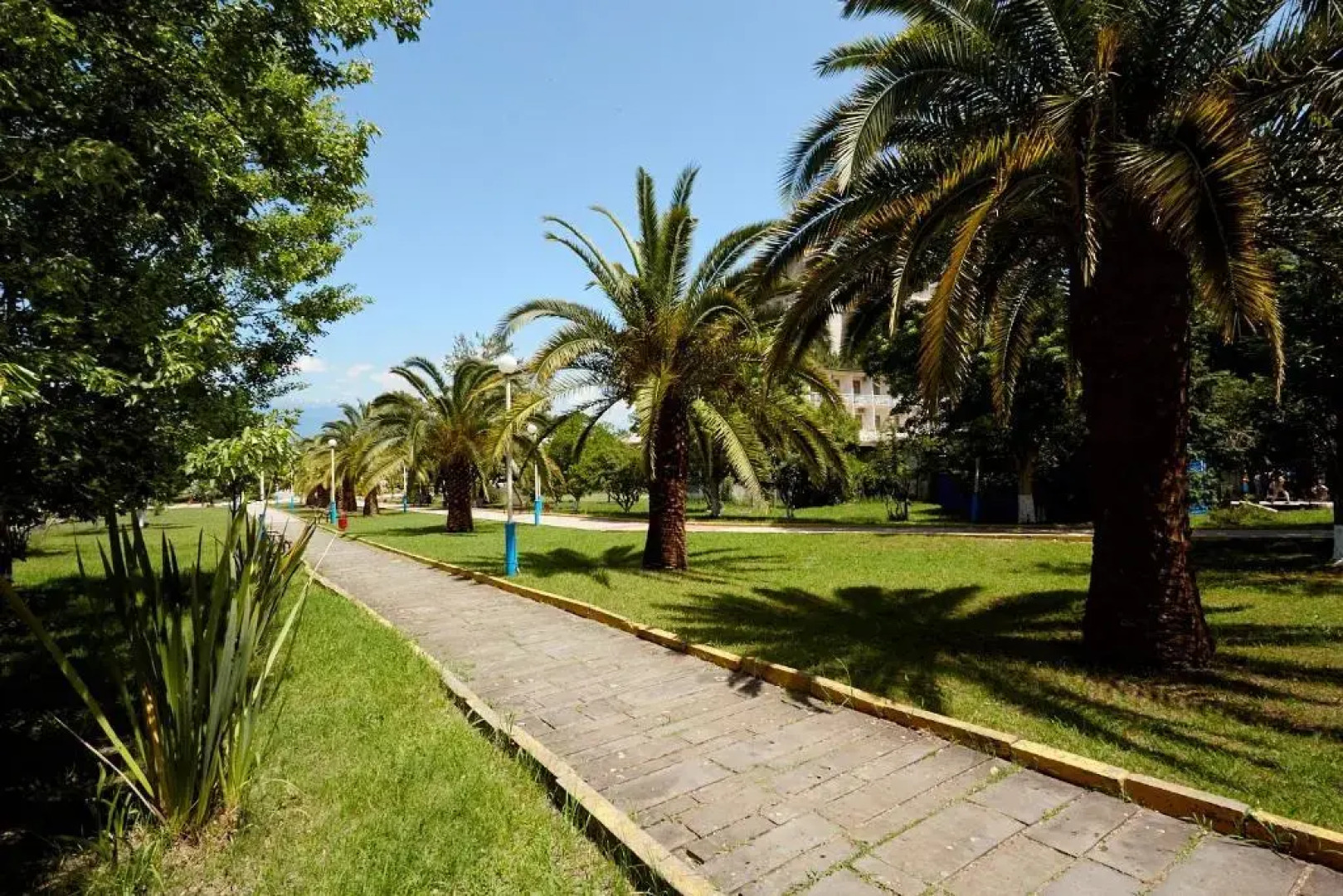 Kvartira na Agrba 7/1