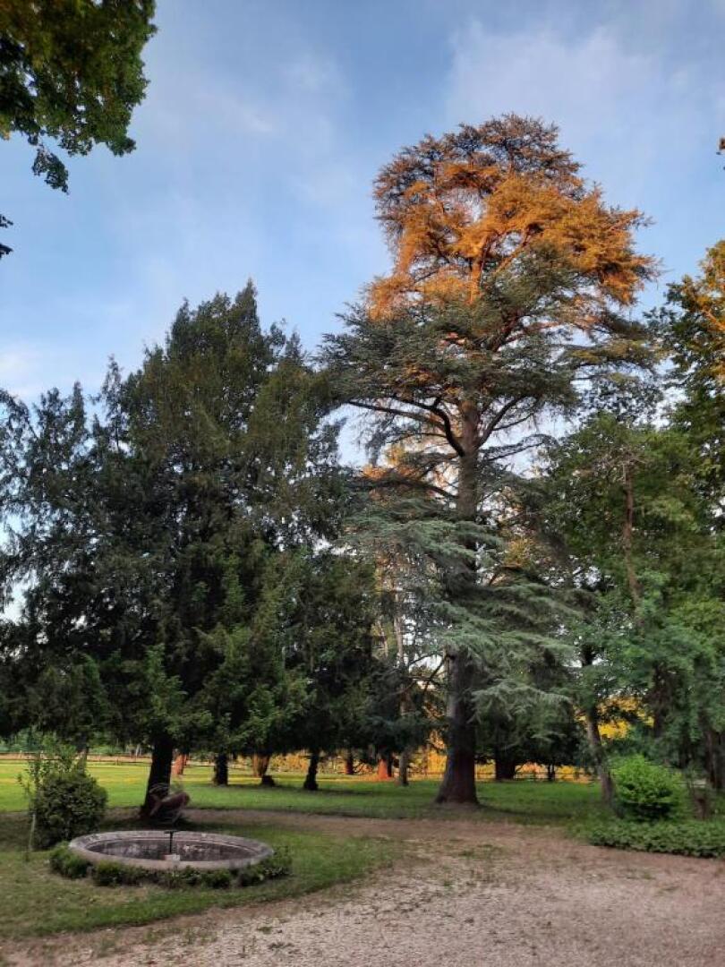Gite de Charme a 15mn de Bordeaux Autonomie 100%