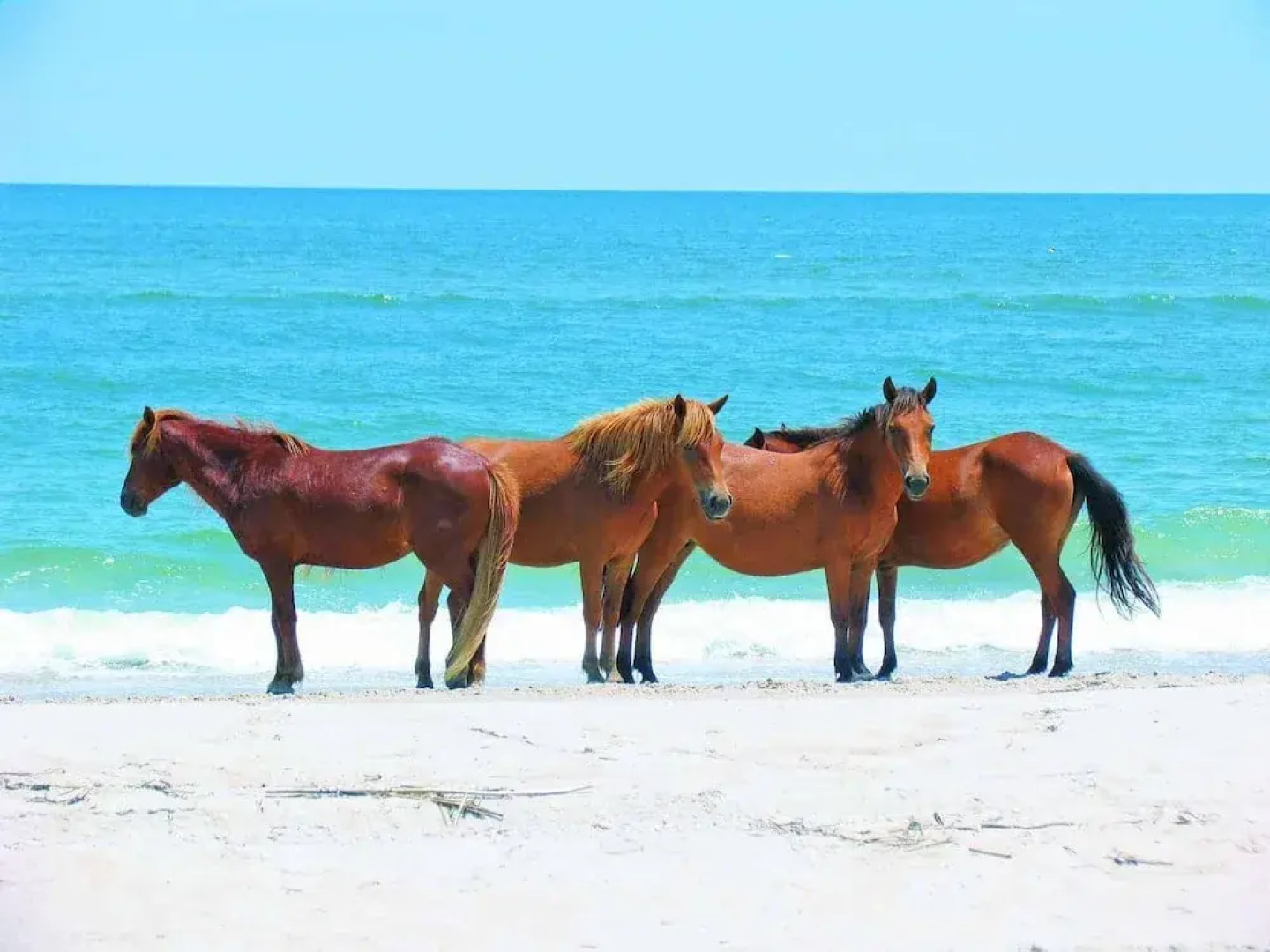 Chanceford Hall Bed & Breakfast