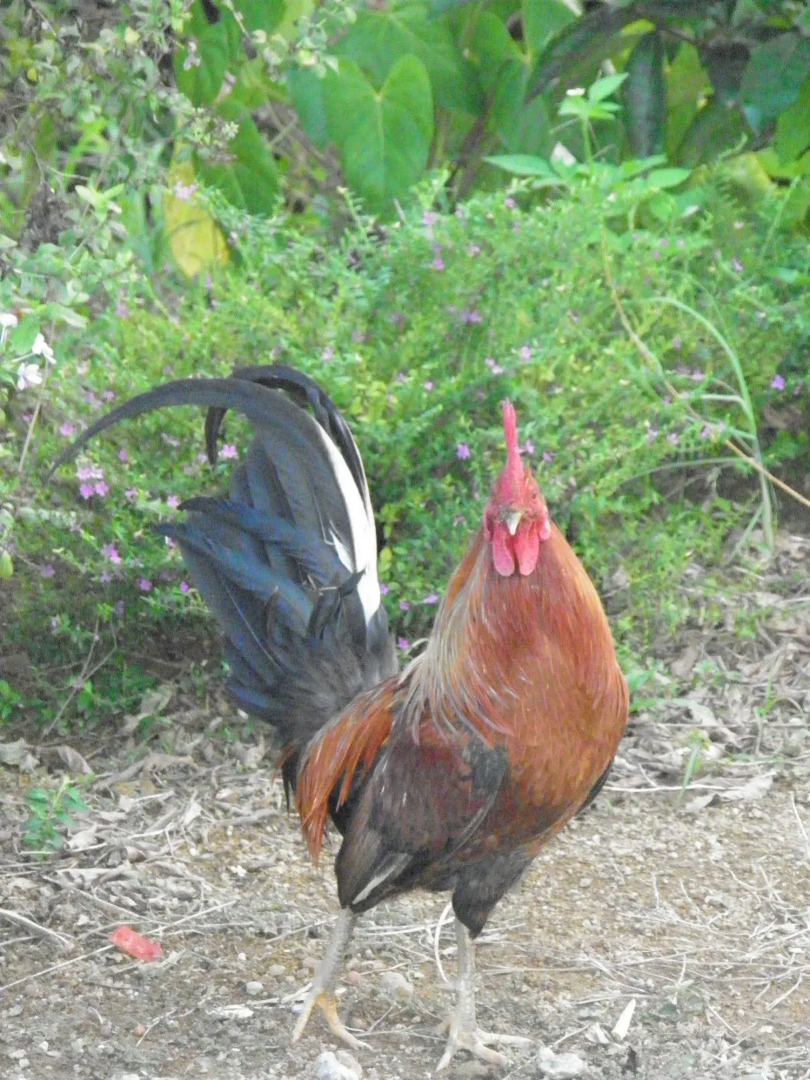 Gites Soleil Couchant