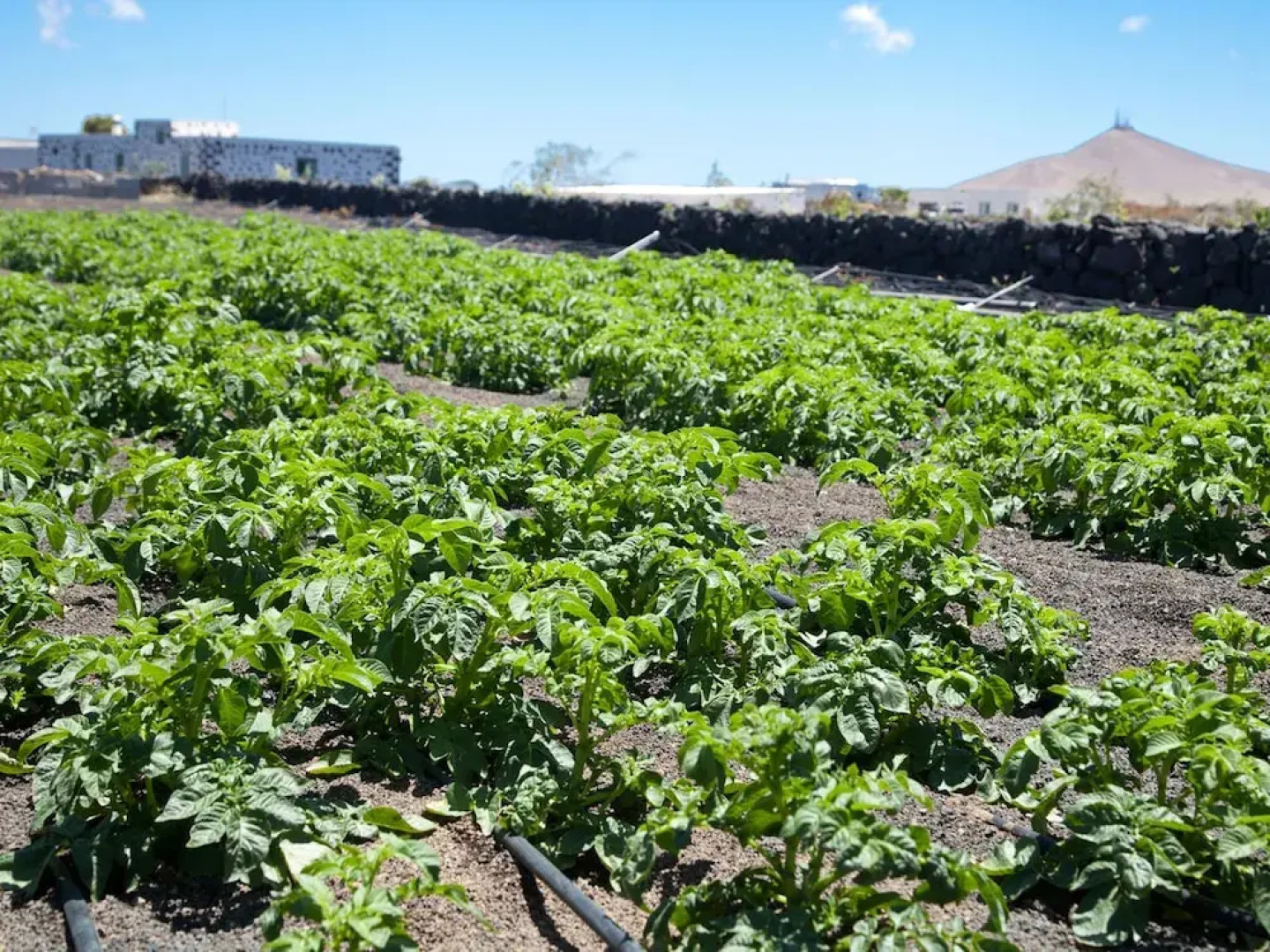 Very Centrally Located, Detached Villa With Private Swimming Pool in Lanzarote