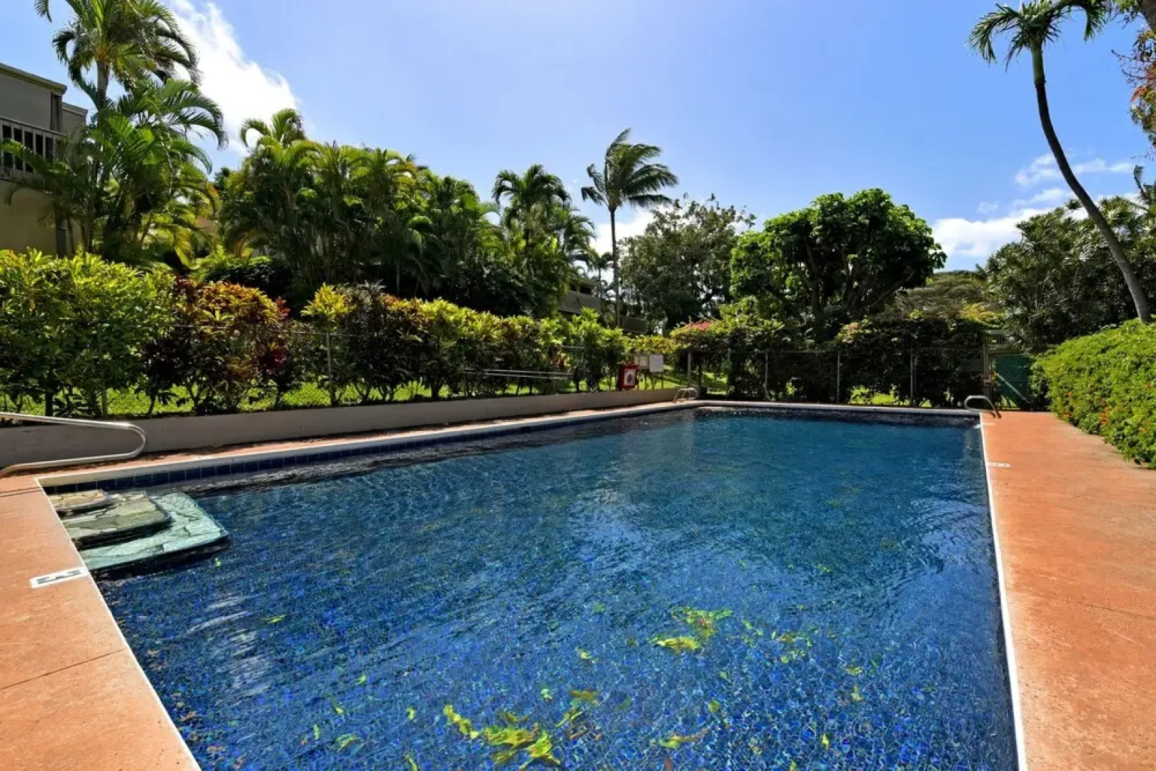 Pohailani 131 by RedAwning