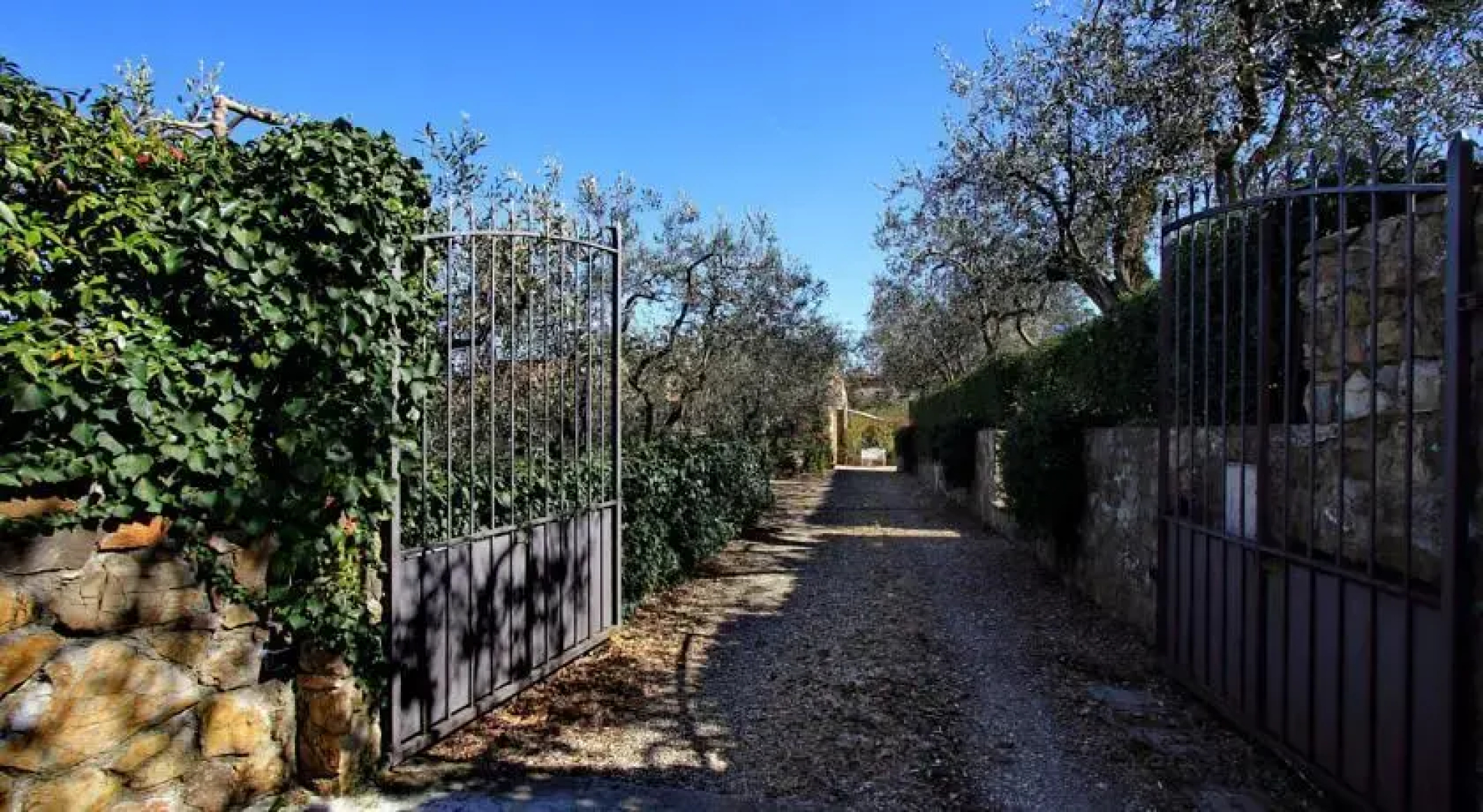 Oliver Guest House