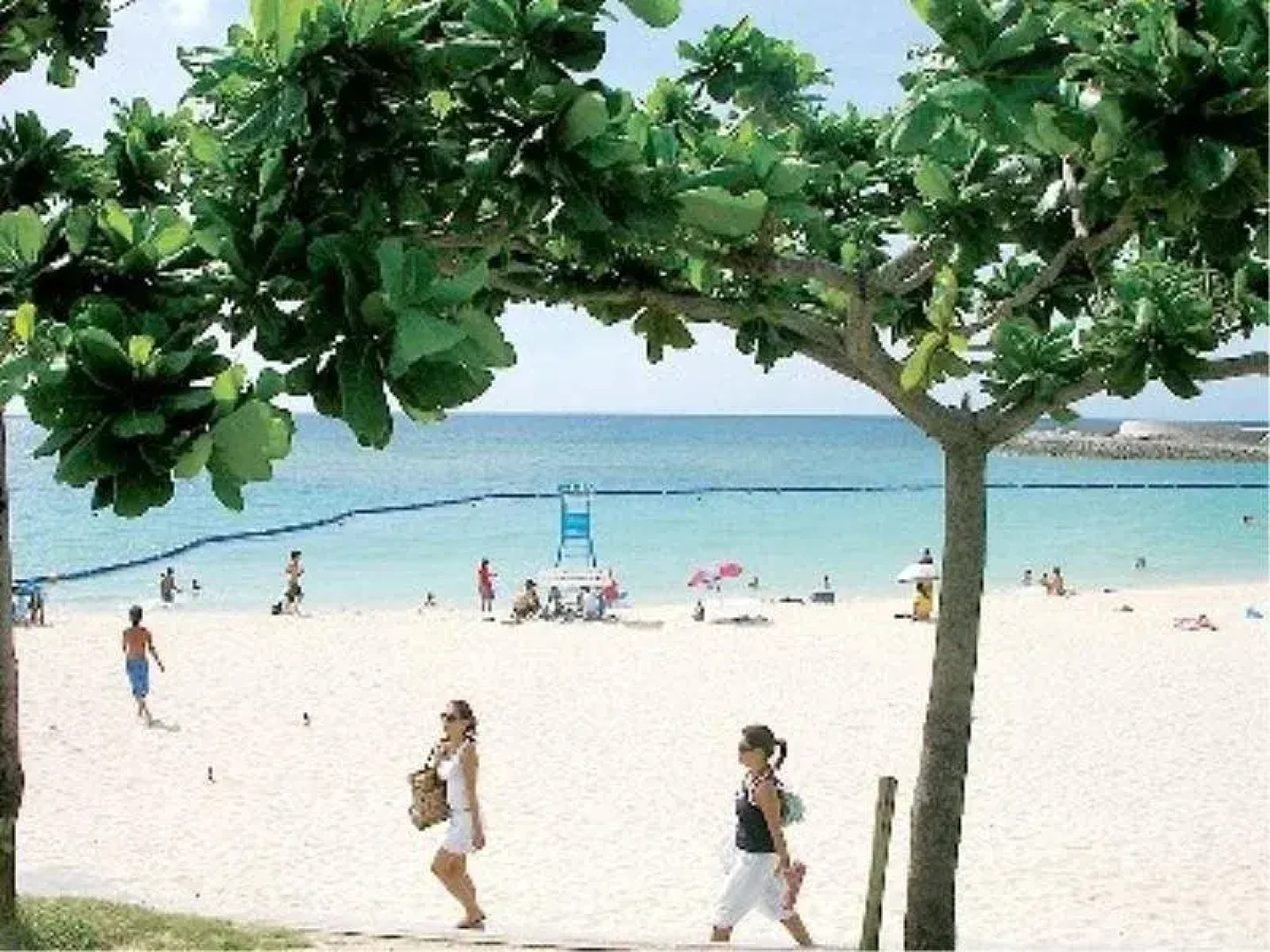 Culture Resort Festone