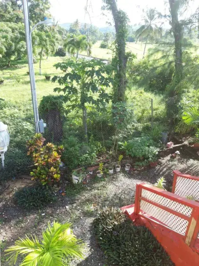 Tranquil guest House