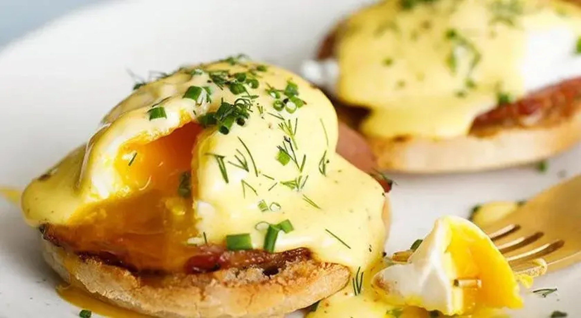 Windy Harbour Farm Bed & Breakfast