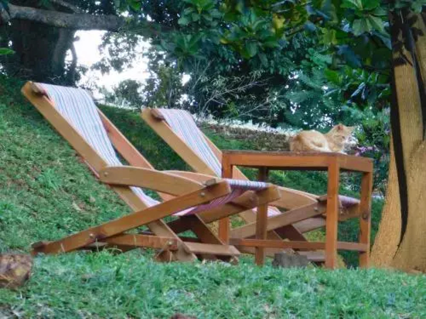 Pakachere Backpackers Lodge