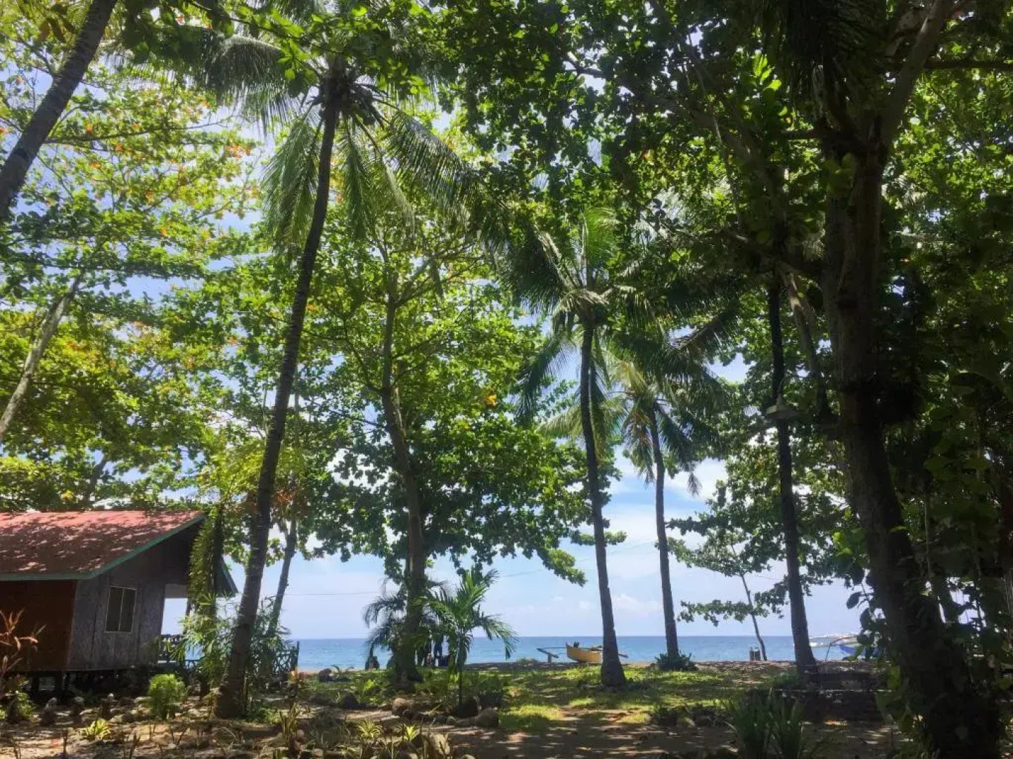 Beach House Resort and Dive Center