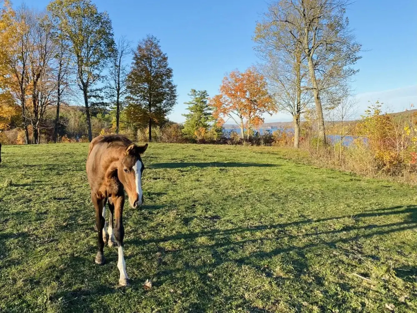 The Inn on Lake Champlain
