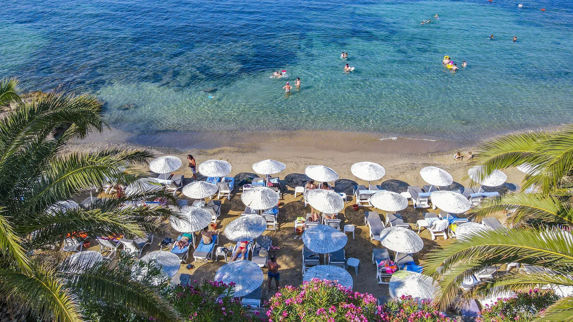 The Grand Blue Sky International