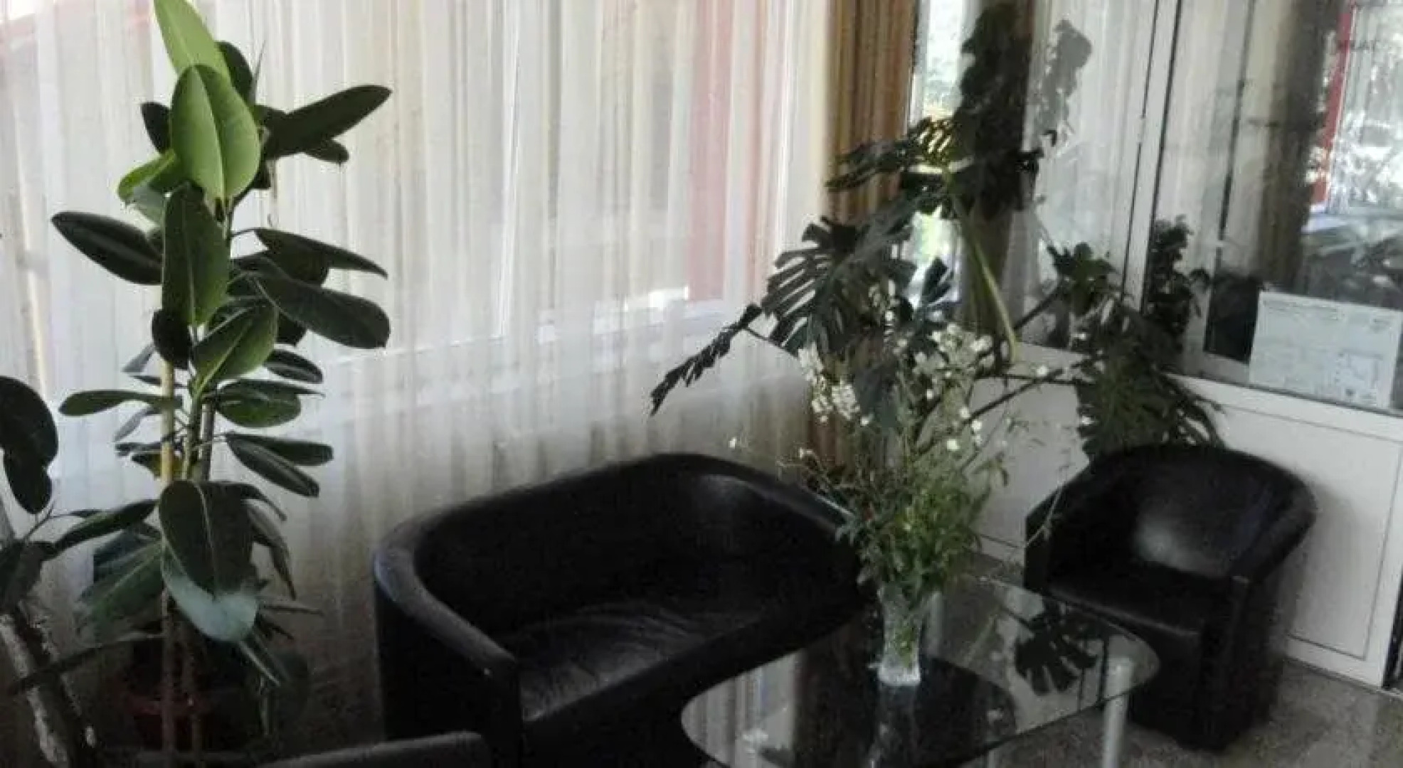 Pensiune Restaurant Avangarde