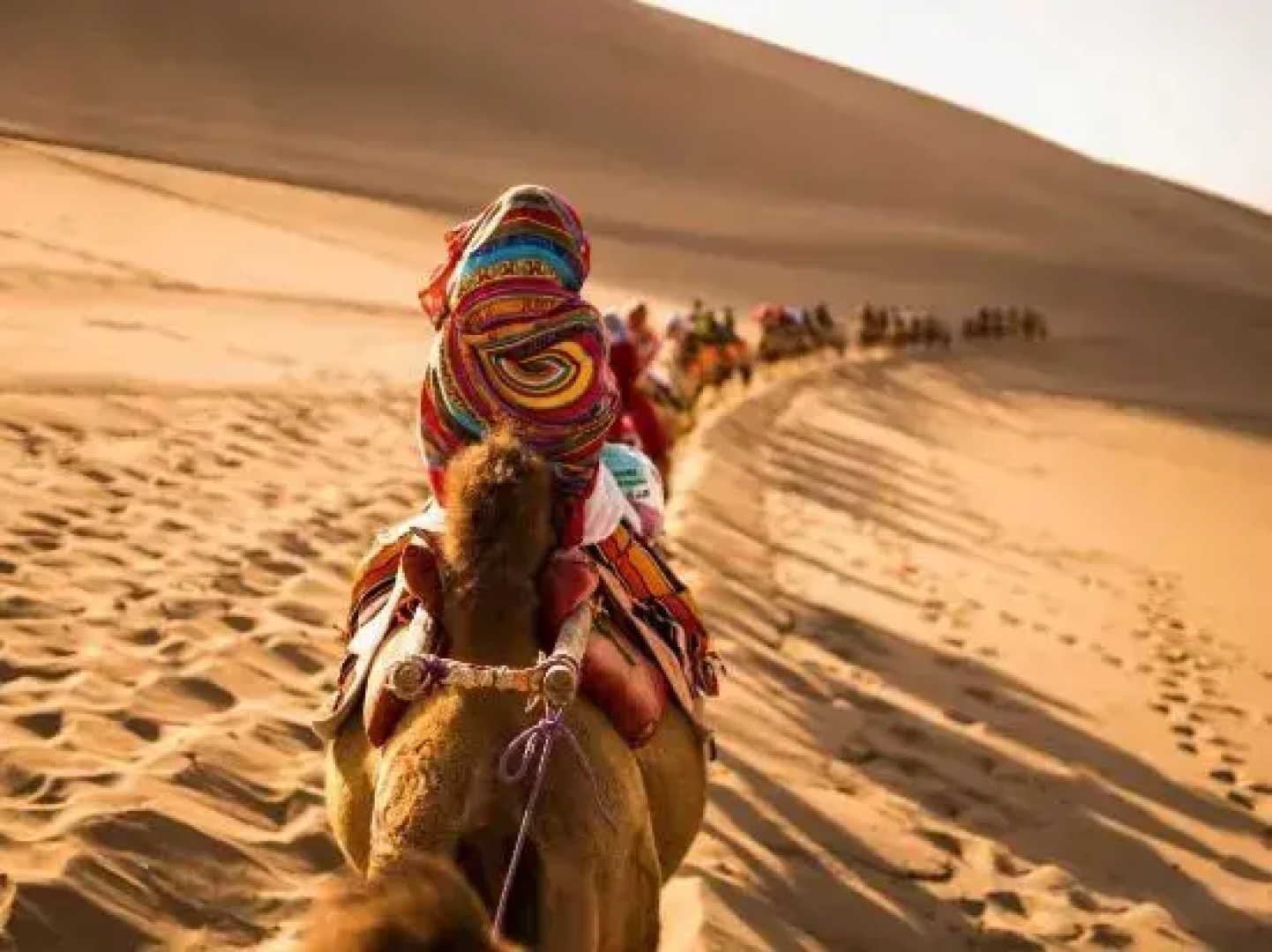 Zhongwei Daxing Night Desert Camp