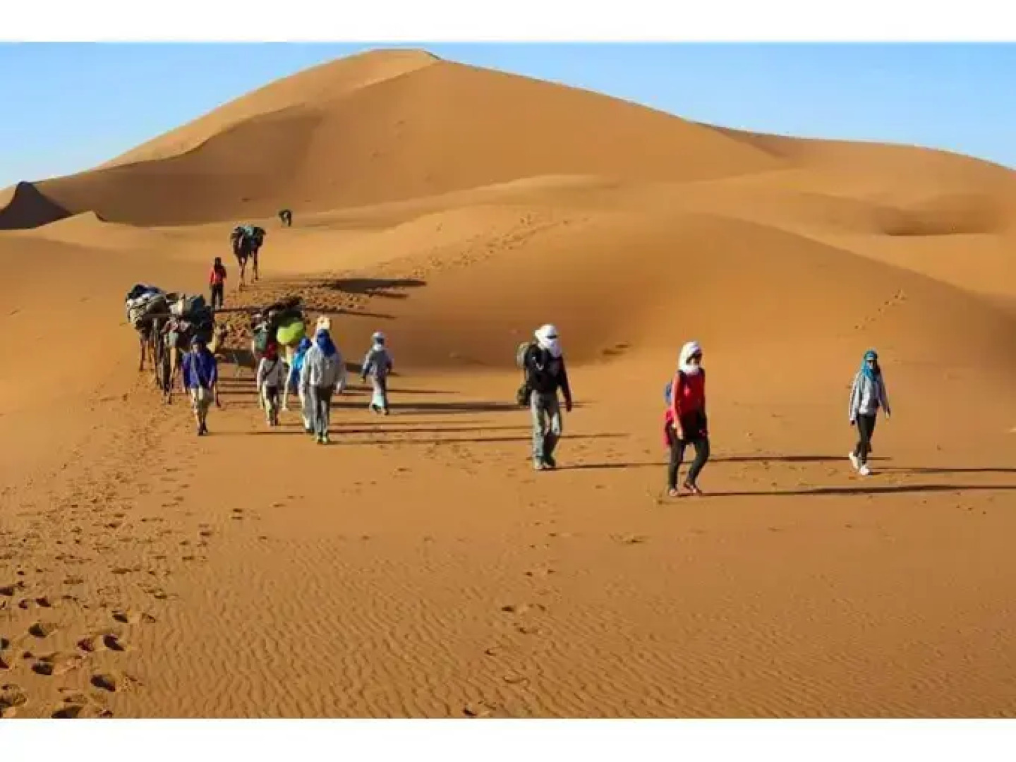 Locals Under Stars Trips